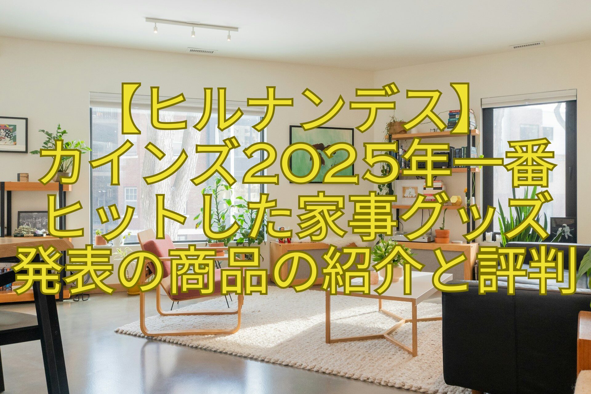 【ヒルナンデス】-カインズ2025年一番-ヒットした家事グッズ-発表の商品の紹介と評判