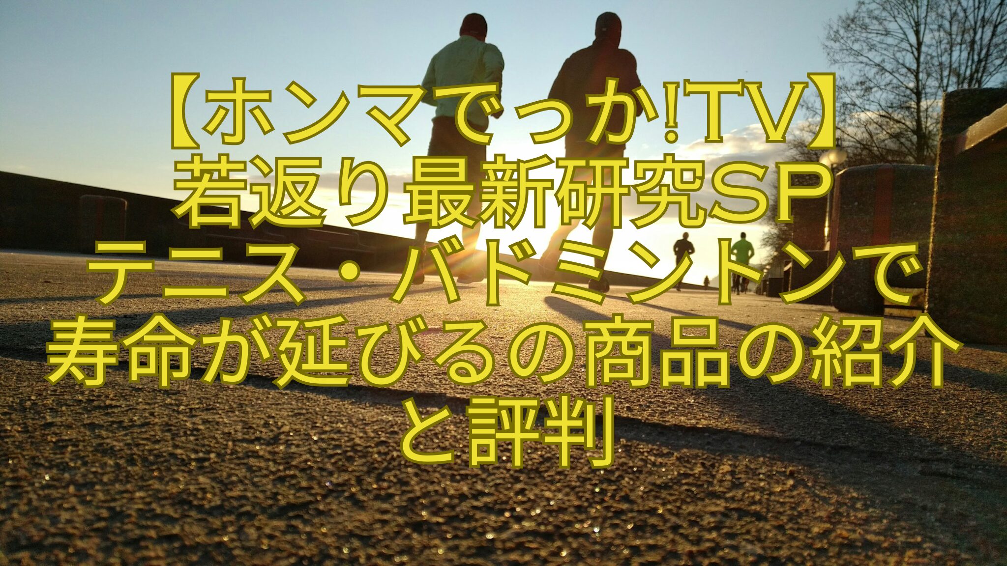【ホンマでっかTV】-若返り最新研究SP-テニス・バドミントンで-寿命が延びるの商品の紹介と評判