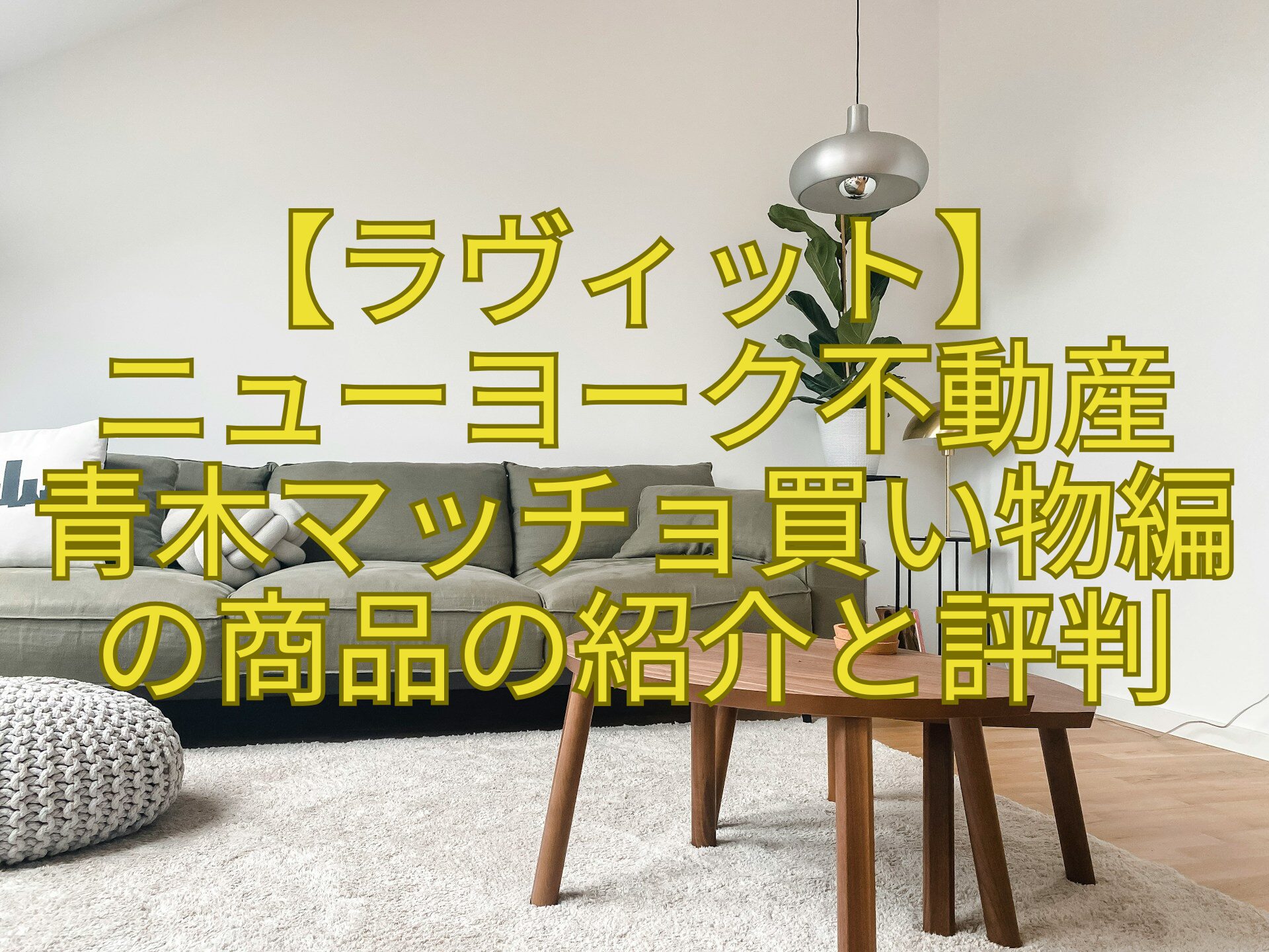 【ラヴィット】-ニューヨーク不動産-青木マッチョ買い物編-の商品の紹介と評判