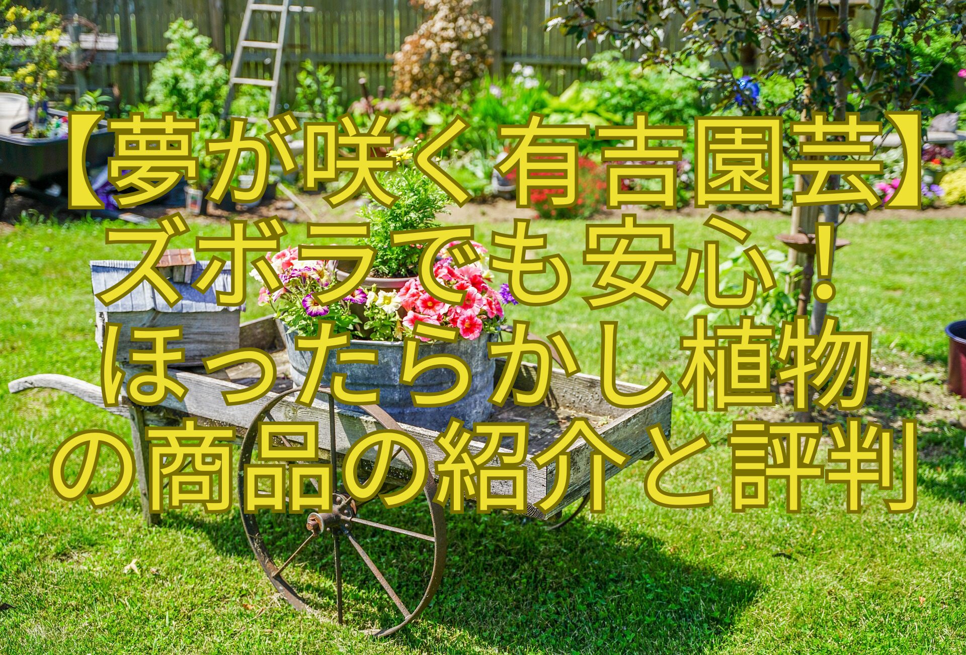 【夢が咲く有吉園芸】-ズボラでも安心！-ほったらかし植物-の商品の紹介と評判