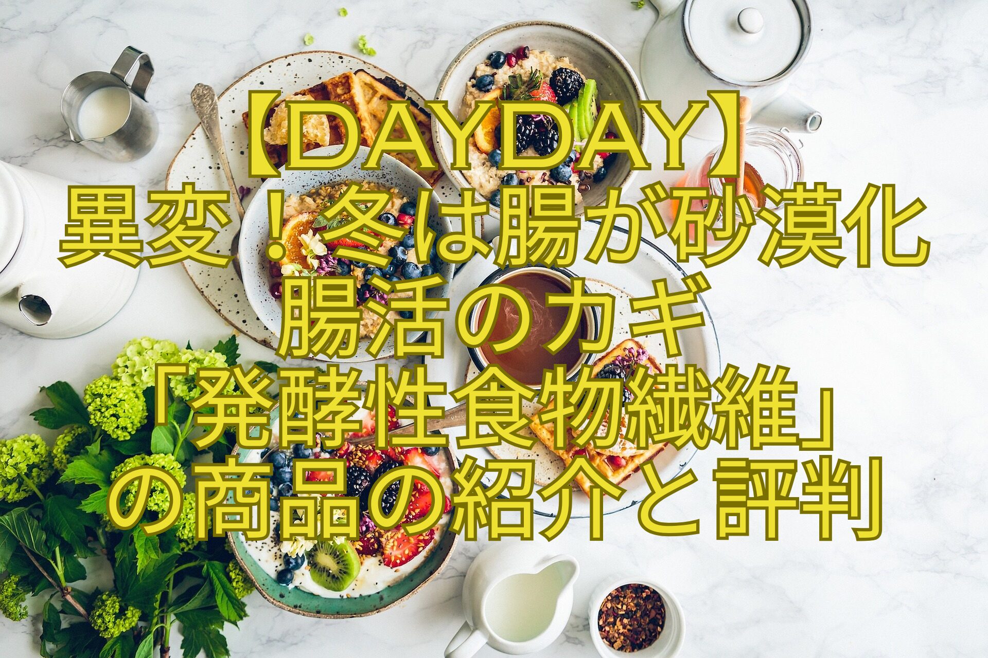 【DayDay】-異変！冬は腸が砂漠化-腸活のカギ-「発酵性食物繊維」-の商品の紹介と評判