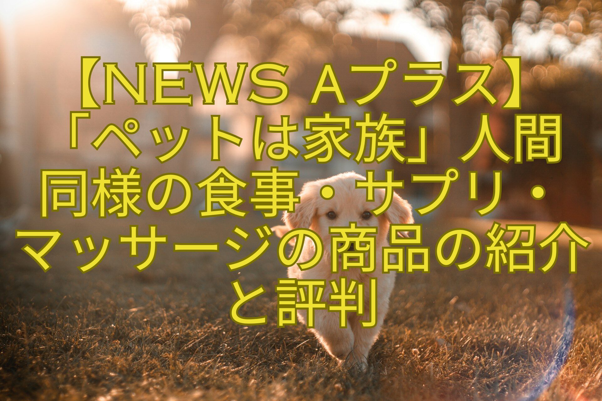 【News-αプラス】「ペットは家族」人間-同様の食事・サプリ・-マッサージの商品の紹介と評判