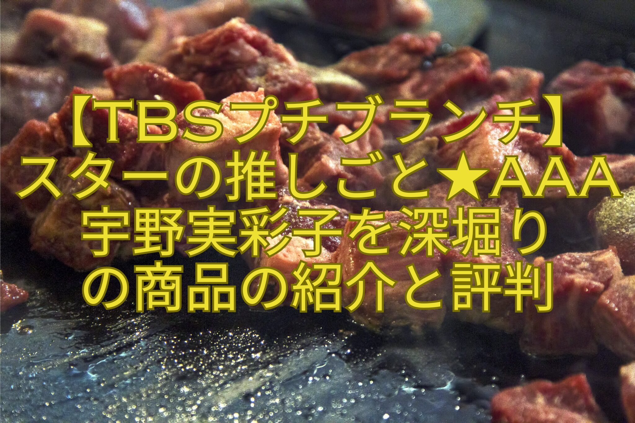 【TBSプチブランチ】スターの推しごと★AAA宇野実彩子を深堀りの商品の紹介と評判