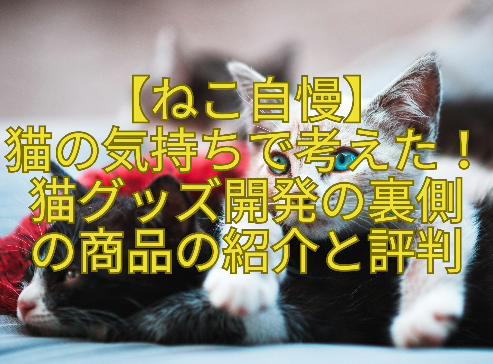 【ねこ自慢】-猫の気持ちで考えた！-猫グッズ開発の裏側-の商品の紹介と評判
