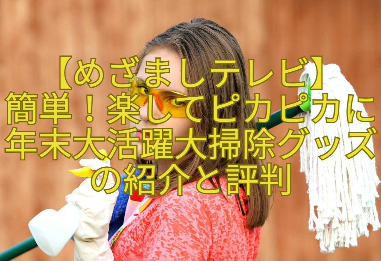 【めざましテレビ】簡単！楽してピカピカに年末大活躍大掃除グッズの紹介と評判