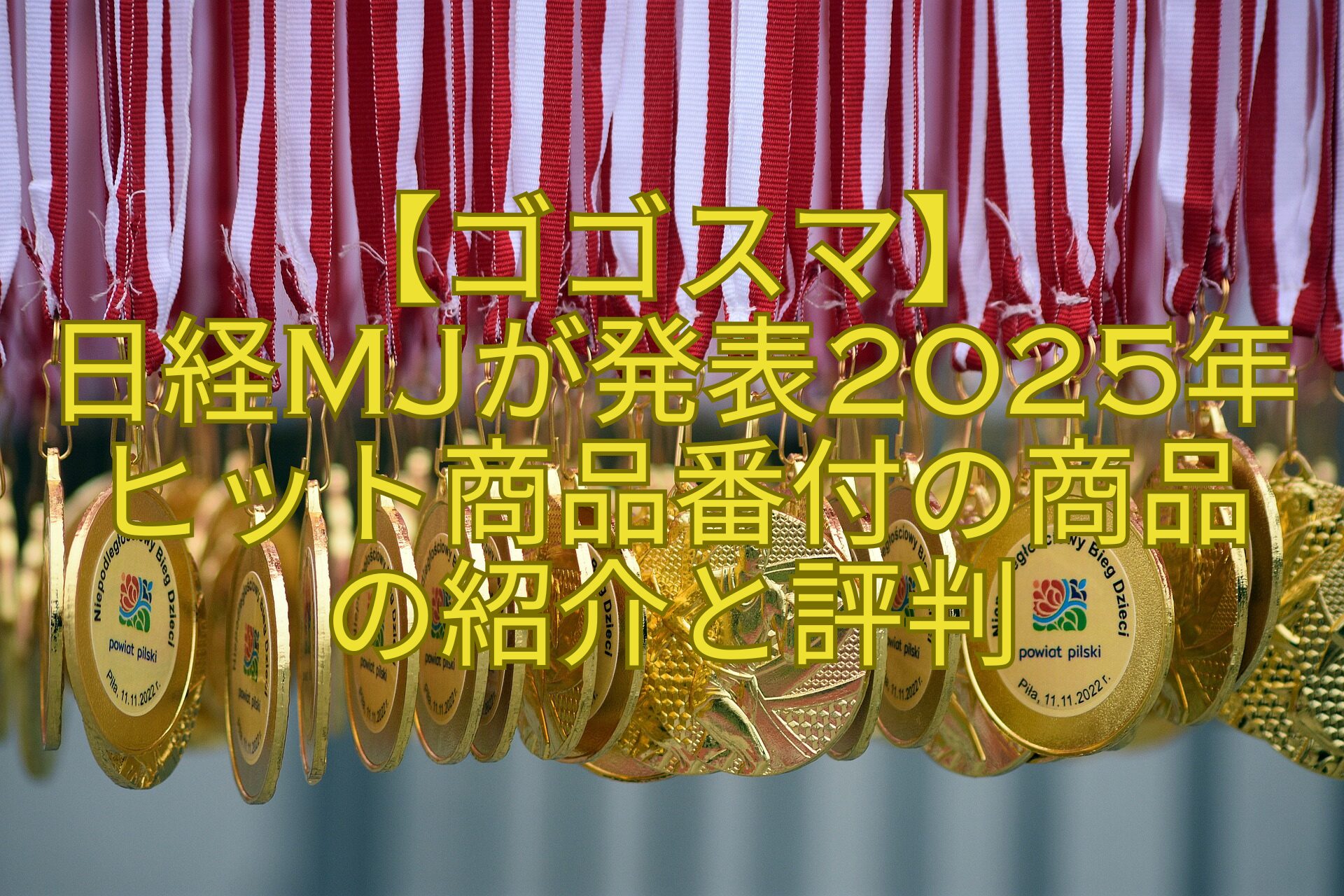 【ゴゴスマ】-日経MJが発表2025年ヒット商品番付の商品-の紹介と評判