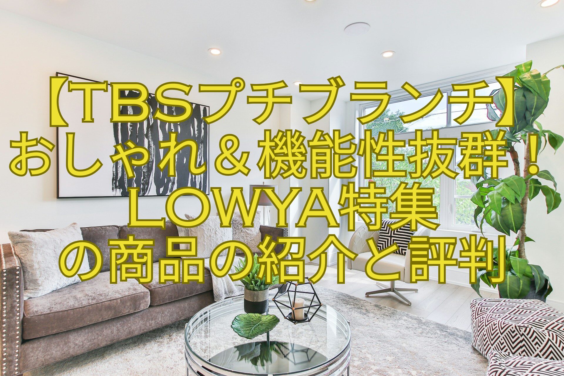 【TBSプチブランチ】おしゃれ＆機能性抜群！LOWYA特集-の商品の紹介と評判