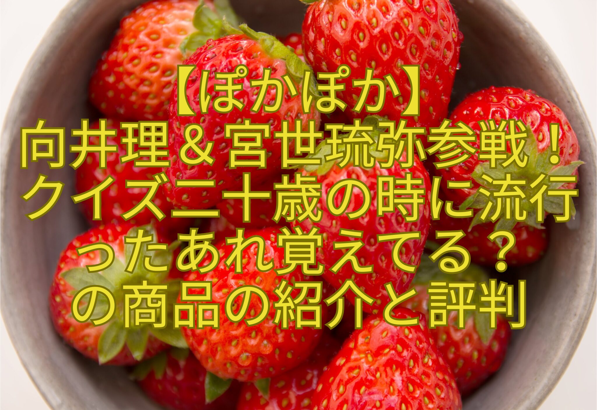 【ぽかぽか】-向井理＆宮世琉弥参戦！クイズ二十歳の時に流行-ったあれ覚えてる？-の商品の紹介と評判