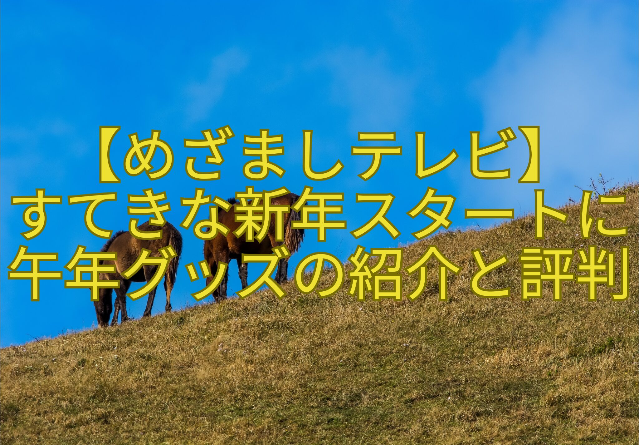 【めざましテレビ】-すてきな新年スタートに午年グッズの紹介と評判