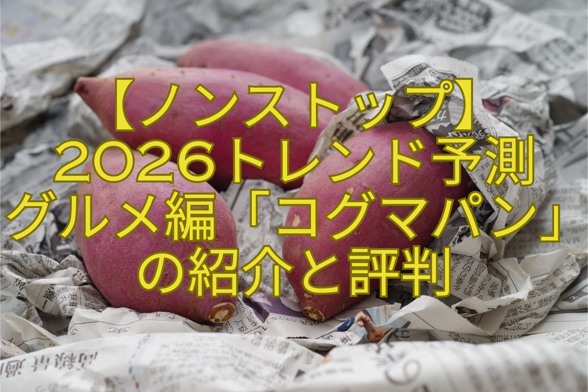 【ノンストップ】-2026トレンド予測-グルメ編「コグマパン」の紹介と評判