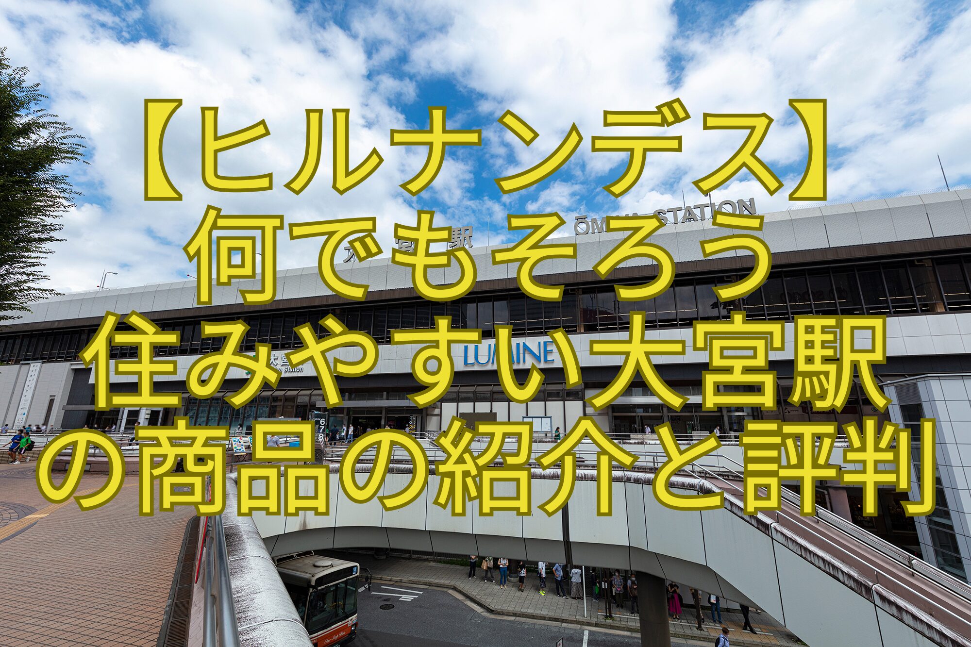 【ヒルナンデス】-何でもそろう-住みやすい大宮駅-の商品の紹介と評判