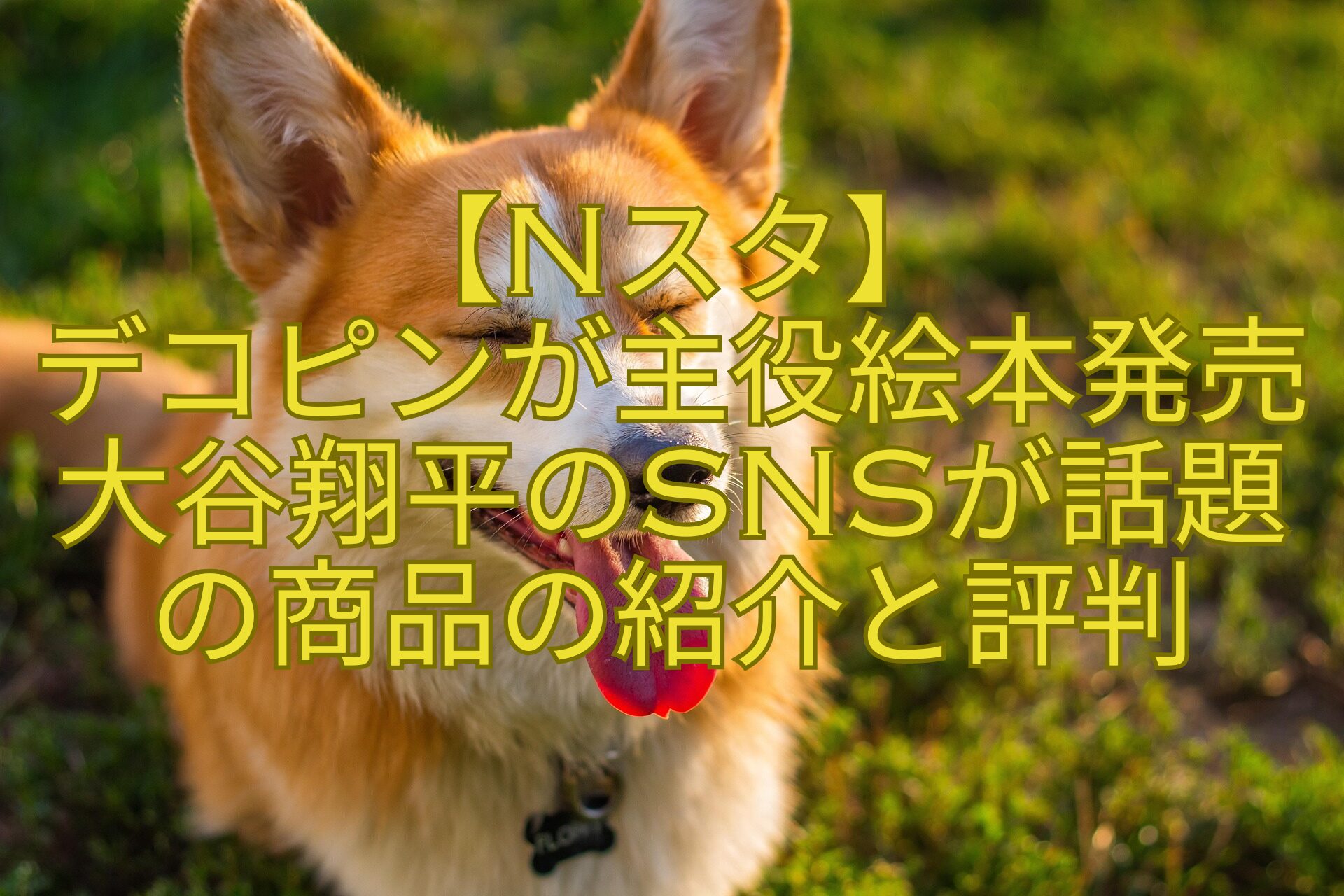 【Nスタ】-デコピンが主役絵本発売大谷翔平のSNSが話題の商品の紹介と評判