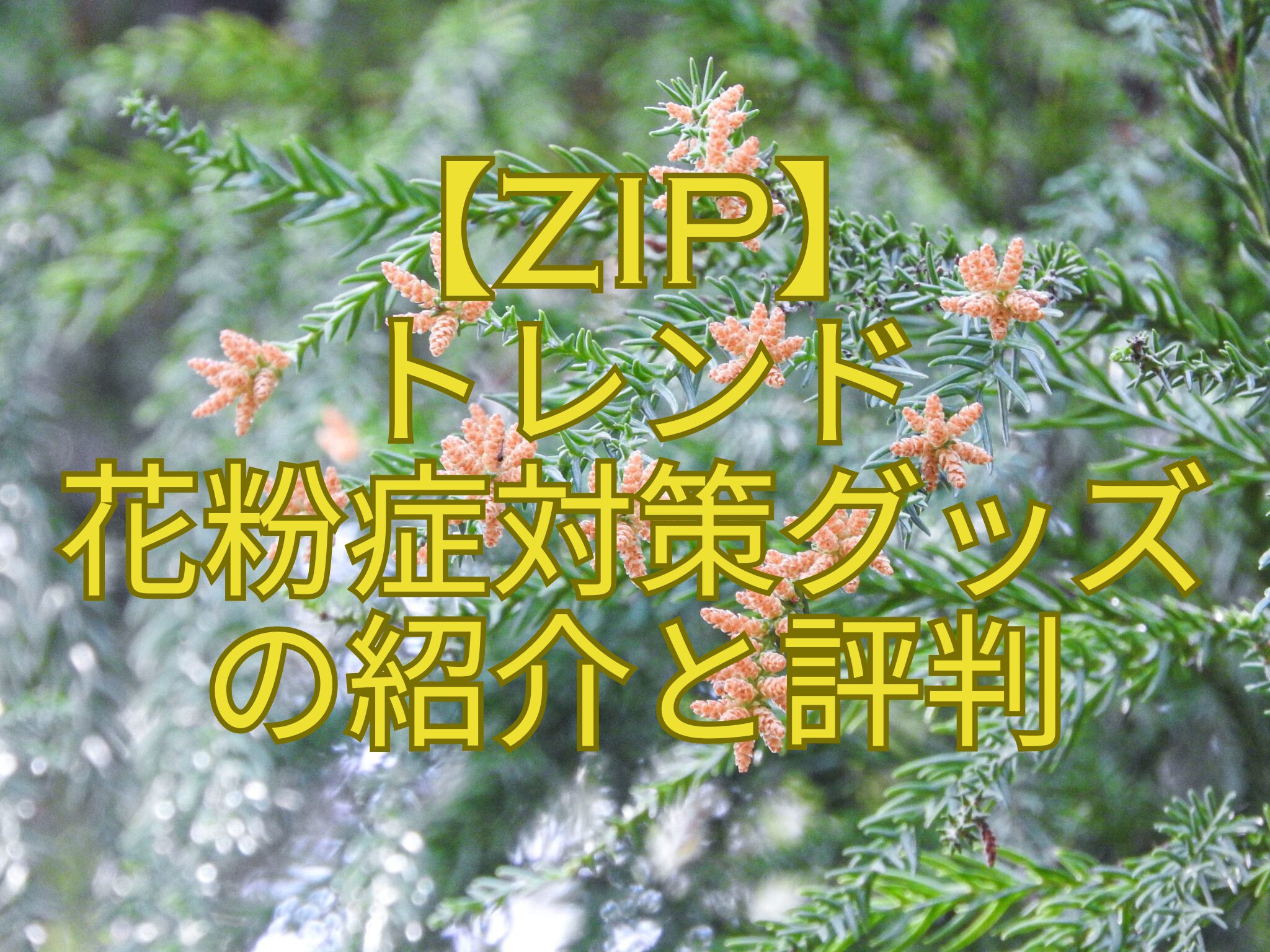 【ZIP】-トレンド-花粉症対策グッズ-の紹介と評判