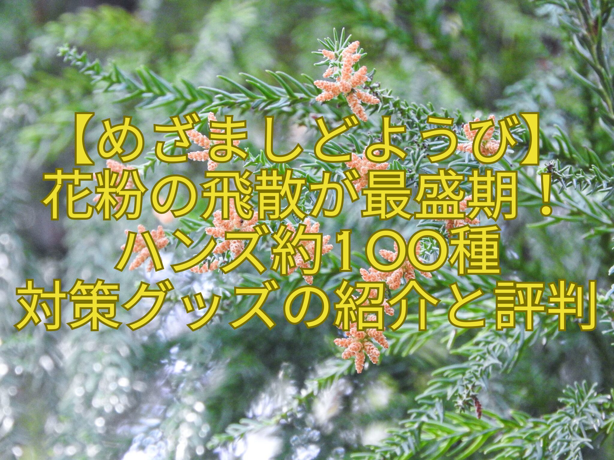 【めざましどようび】-花粉の飛散が最盛期！-ハンズ約100種-対策グッズの紹介と評判