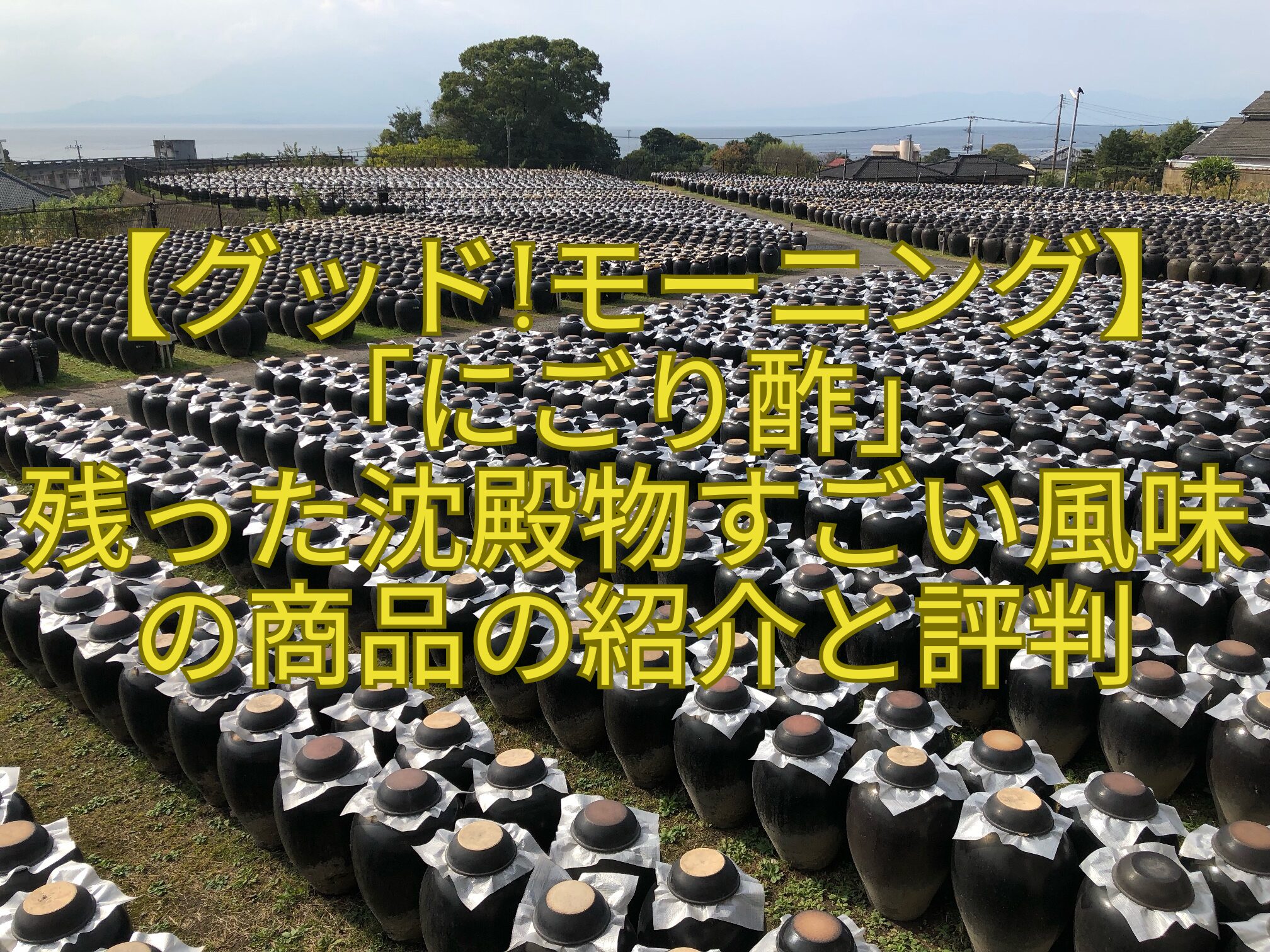 【グッドモーニング】「にごり酢」-残った沈殿物すごい風味の商品の紹介と評判