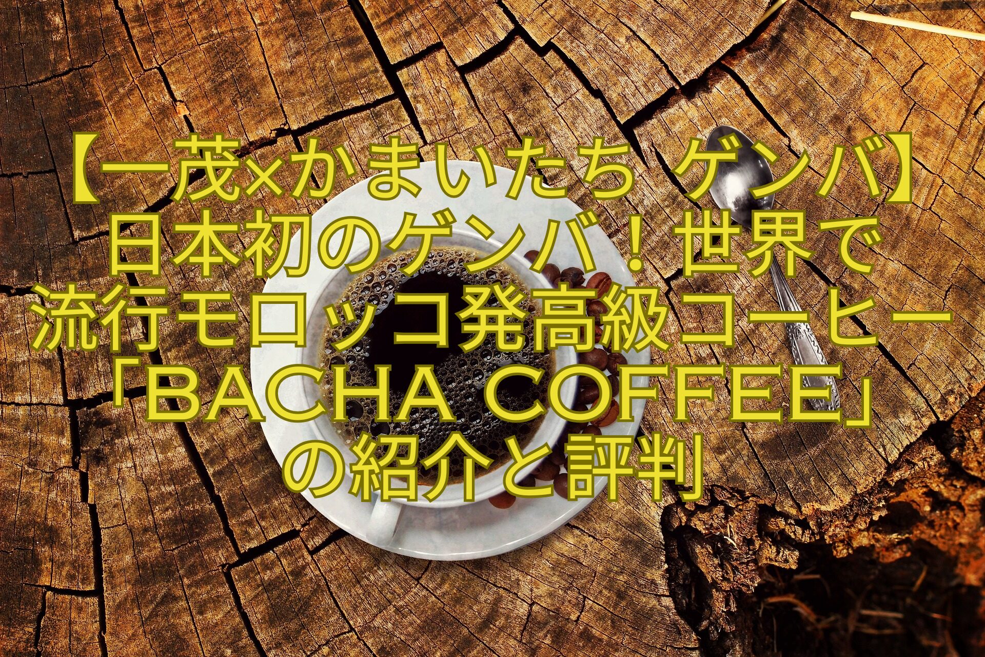 【一茂×かまいたち-ゲンバ】日本初のゲンバ！世界で-流行モロッコ発高級コーヒー「Bacha-Coffee」の紹介と評判