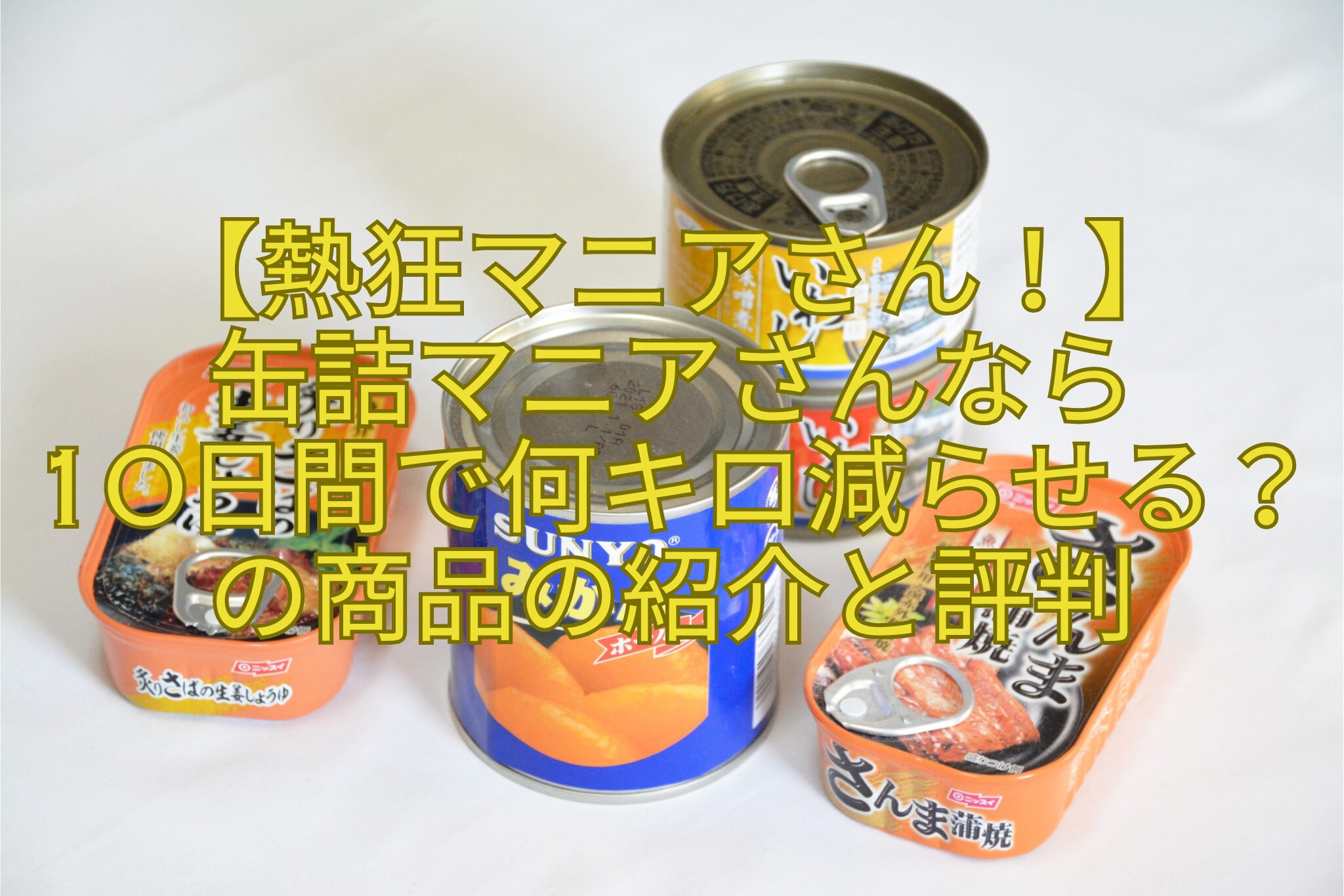【熱狂マニアさん！】-缶詰マニアさんなら-10日間で何キロ減らせる？の商品の紹介と評判