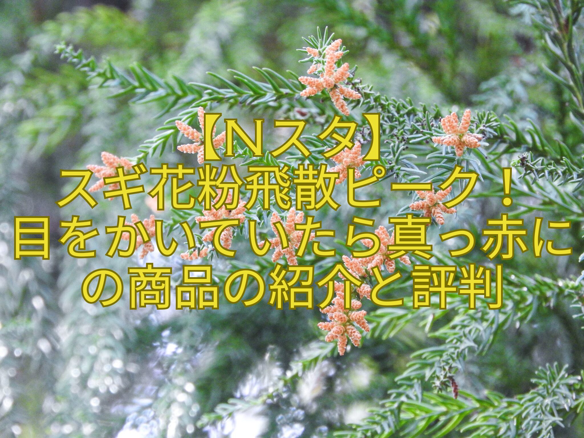 【Nスタ】-スギ花粉飛散ピーク！-目をかいていたら真っ赤にの商品の紹介と評判