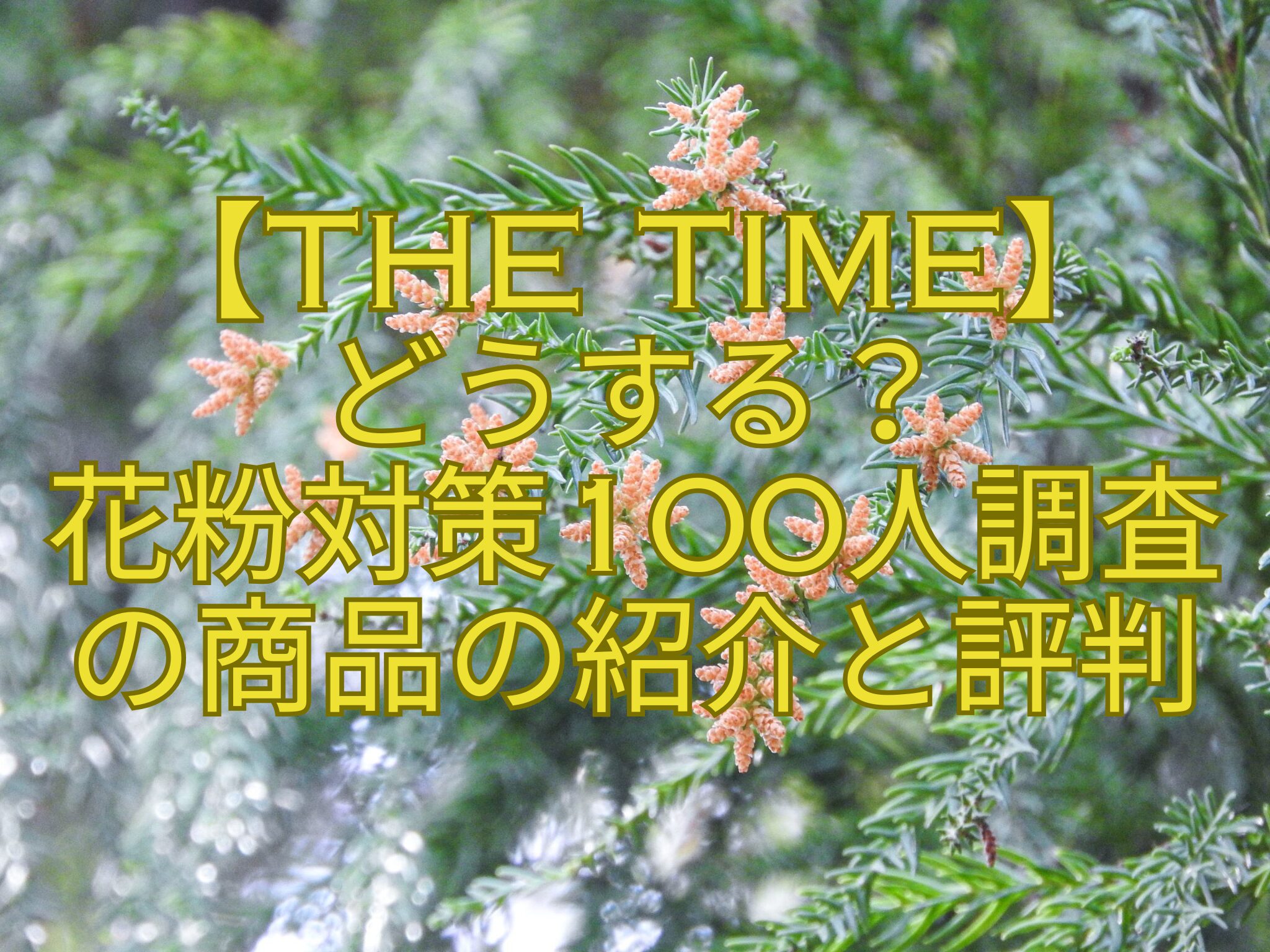 【THE-TIME】-どうする？-花粉対策100人調査-の商品の紹介と評判