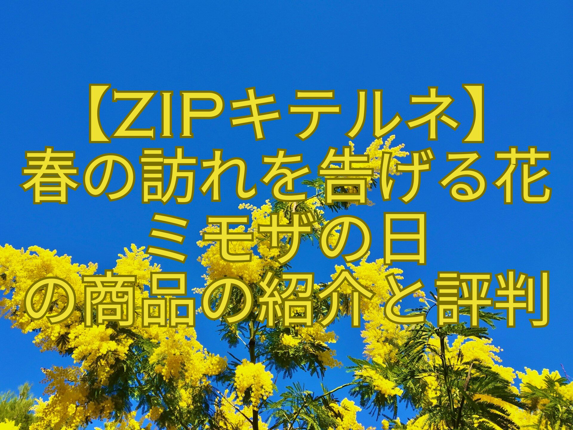 【ZIPキテルネ】-春の訪れを告げる花-ミモザの日-の商品の紹介と評判
