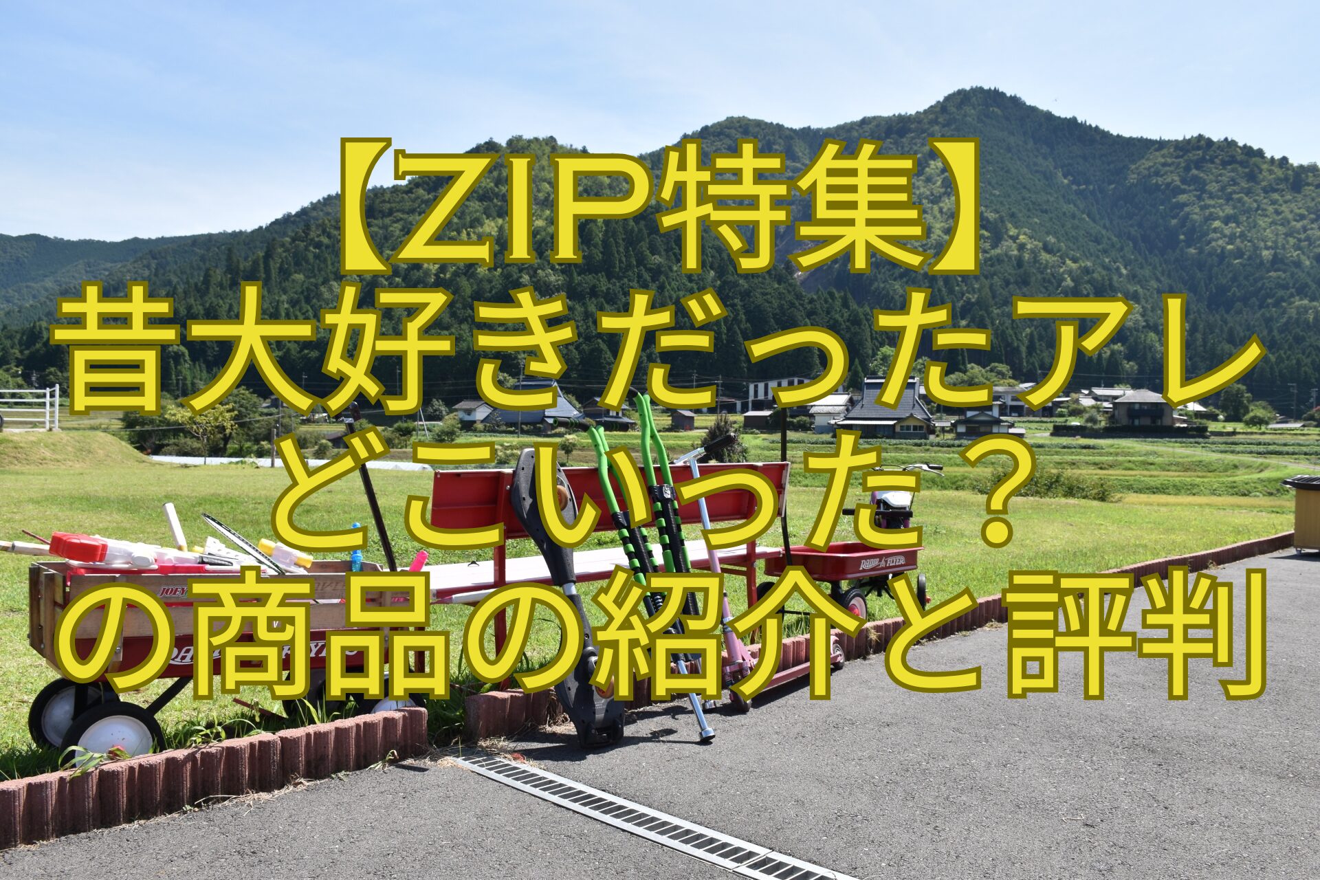 【ZIP特集】-昔大好きだったアレ-どこいった？-の商品の紹介と評判