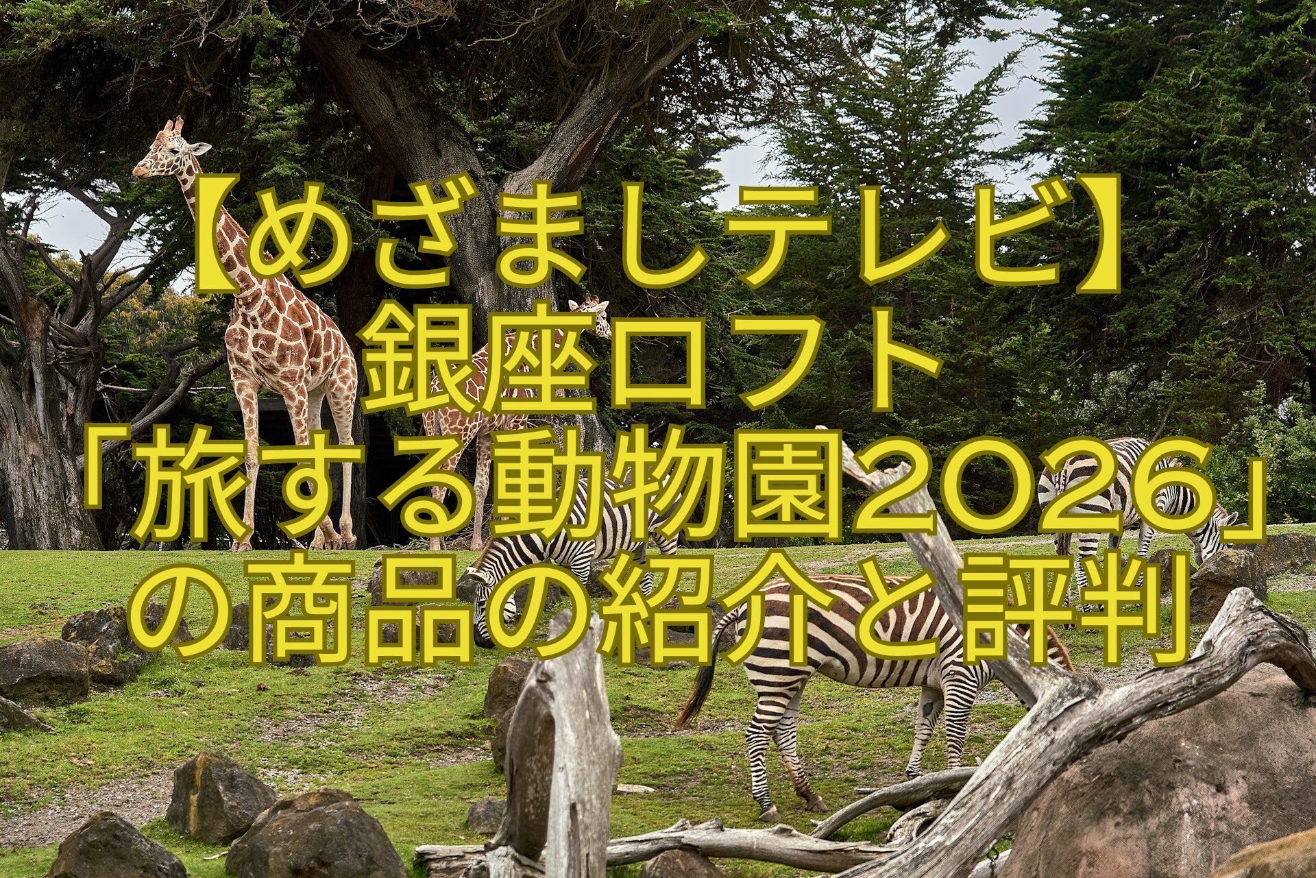【めざましテレビ】-銀座ロフト-「旅する動物園2026」の商品の紹介と評判