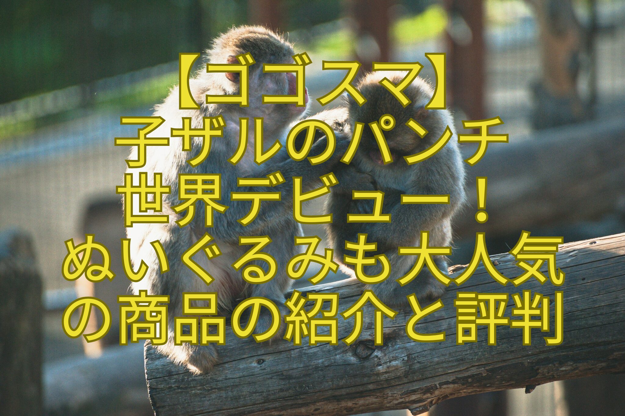 【ゴゴスマ】-子ザルのパンチ-世界デビュー！-ぬいぐるみも大人気-の商品の紹介と評判