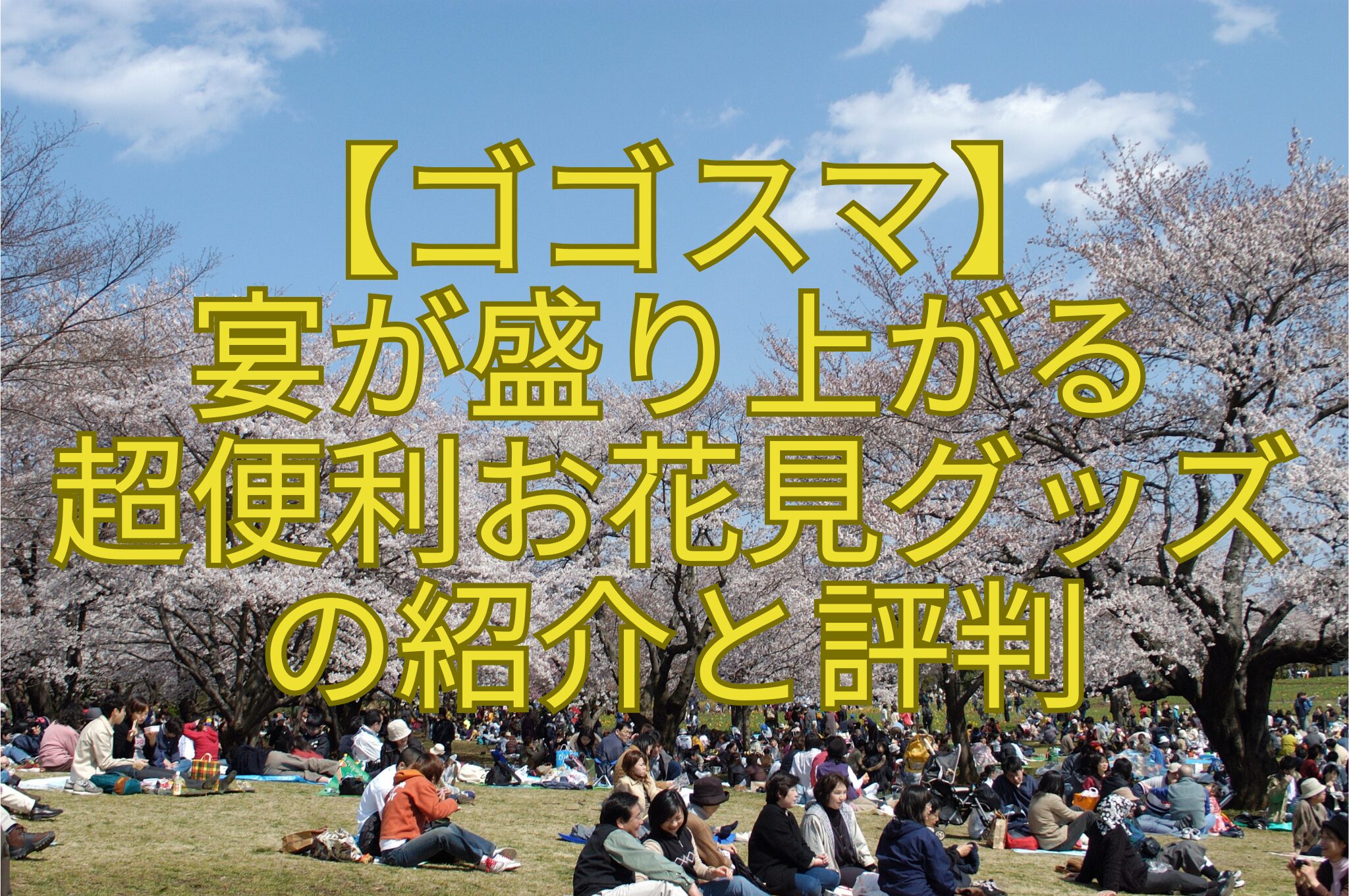 【ゴゴスマ】-宴が盛り上がる-超便利お花見グッズ-の紹介と評判