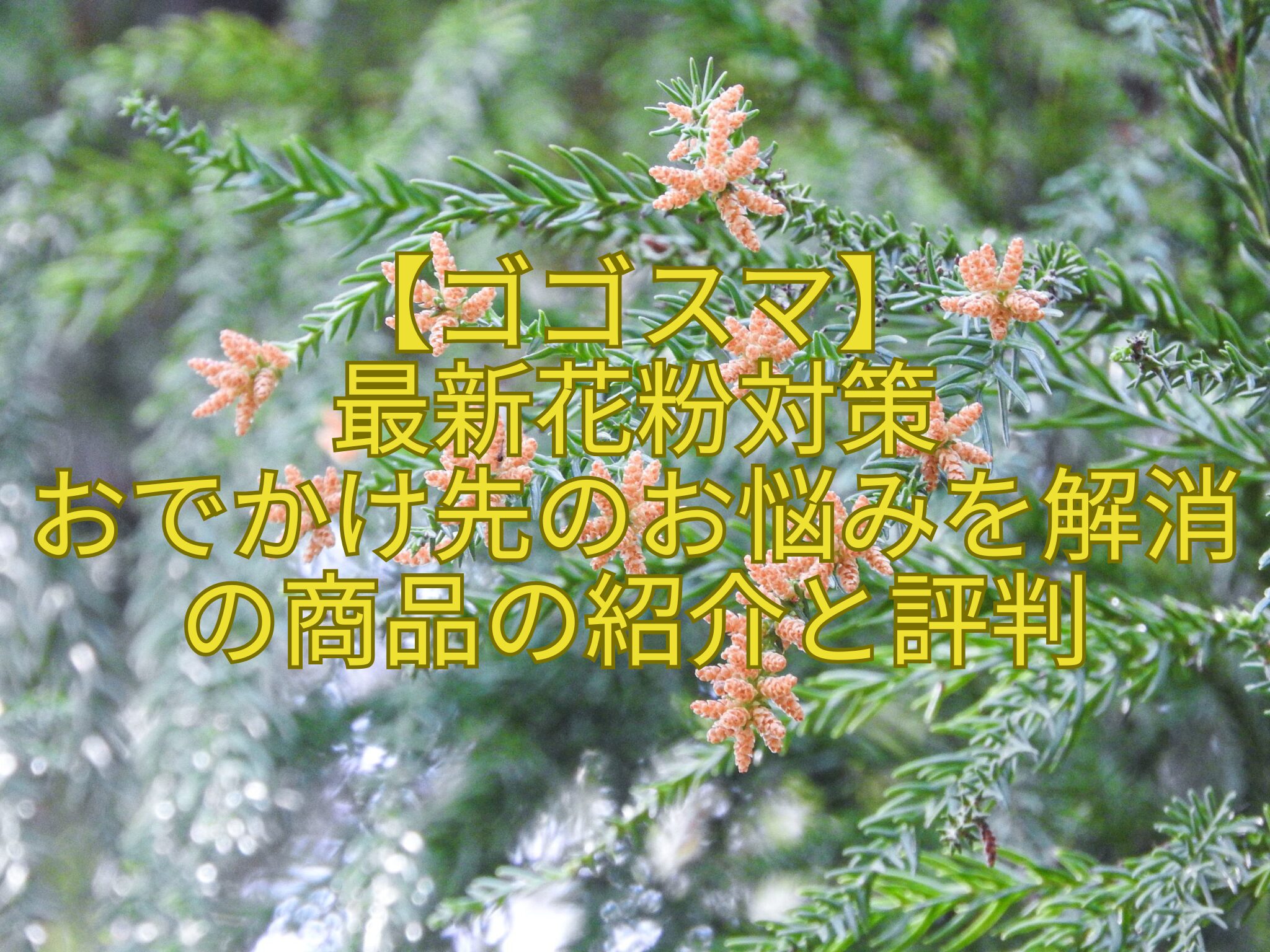 【ゴゴスマ】-最新花粉対策-おでかけ先のお悩みを解消の商品の紹介と評判