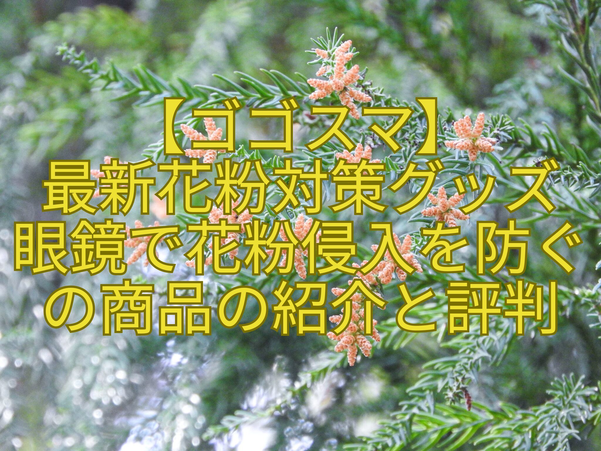 【ゴゴスマ】-最新花粉対策グッズ-眼鏡で花粉侵入を防ぐ-の商品の紹介と評判.