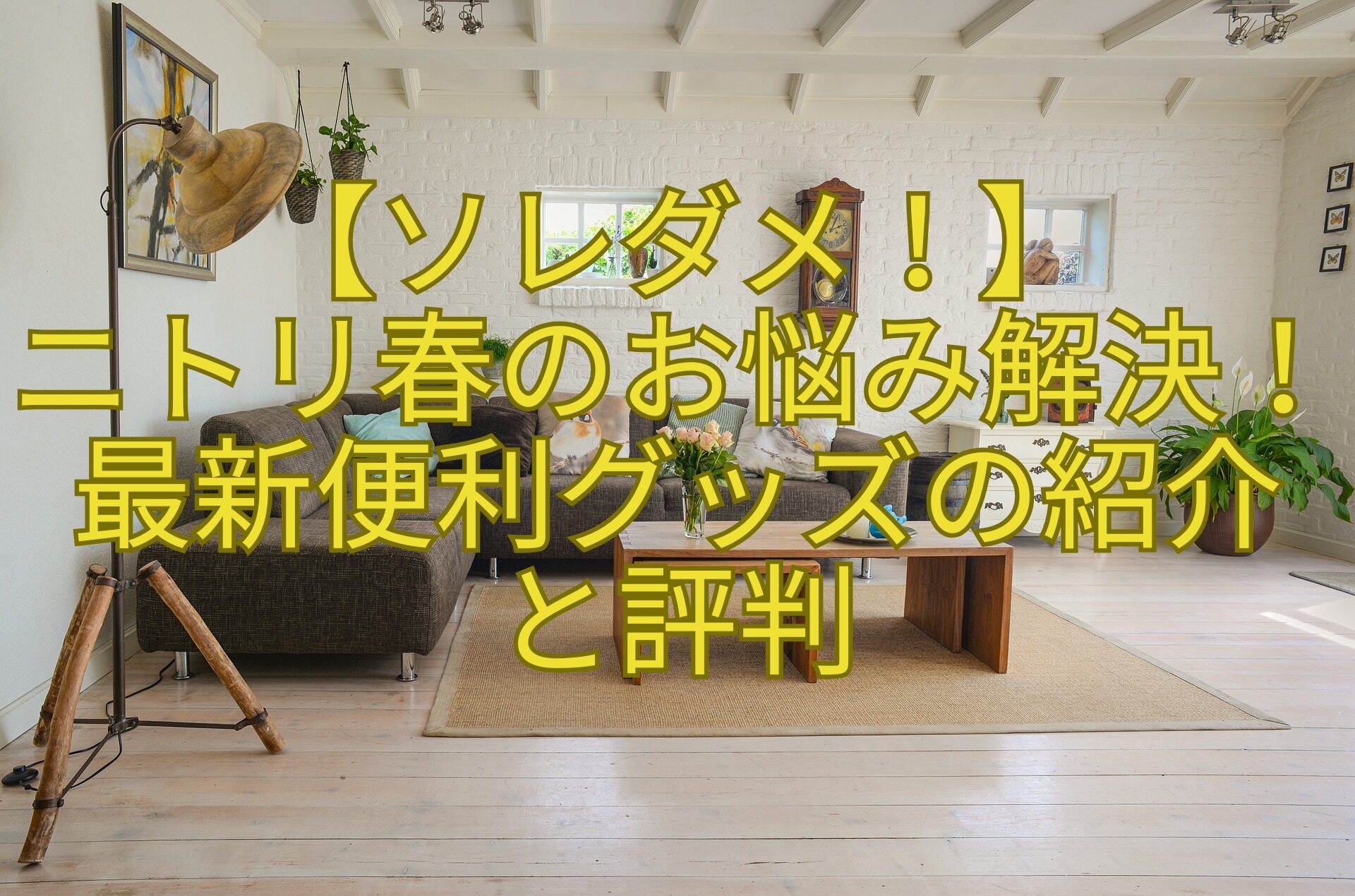 【ソレダメ！】-ニトリ春のお悩み解決！最新便利グッズの紹介-と評判