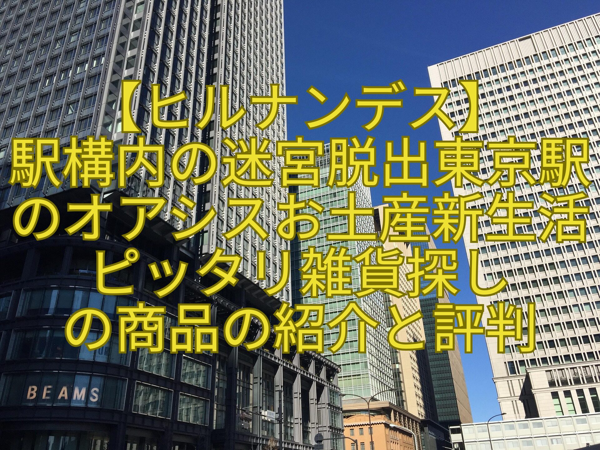 【ヒルナンデス】-駅構内の迷宮脱出東京駅のオアシスお土産新生活ピッタリ雑貨探し-の商品の紹介と評判