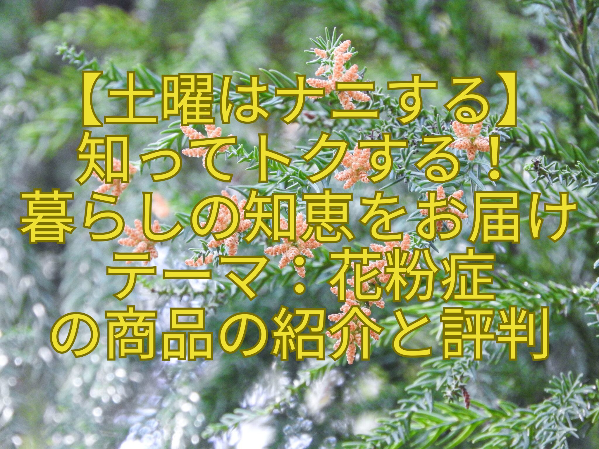 【土曜はナニする】-知ってトクする！-暮らしの知恵をお届け-テーマ：花粉症-の商品の紹介と評判