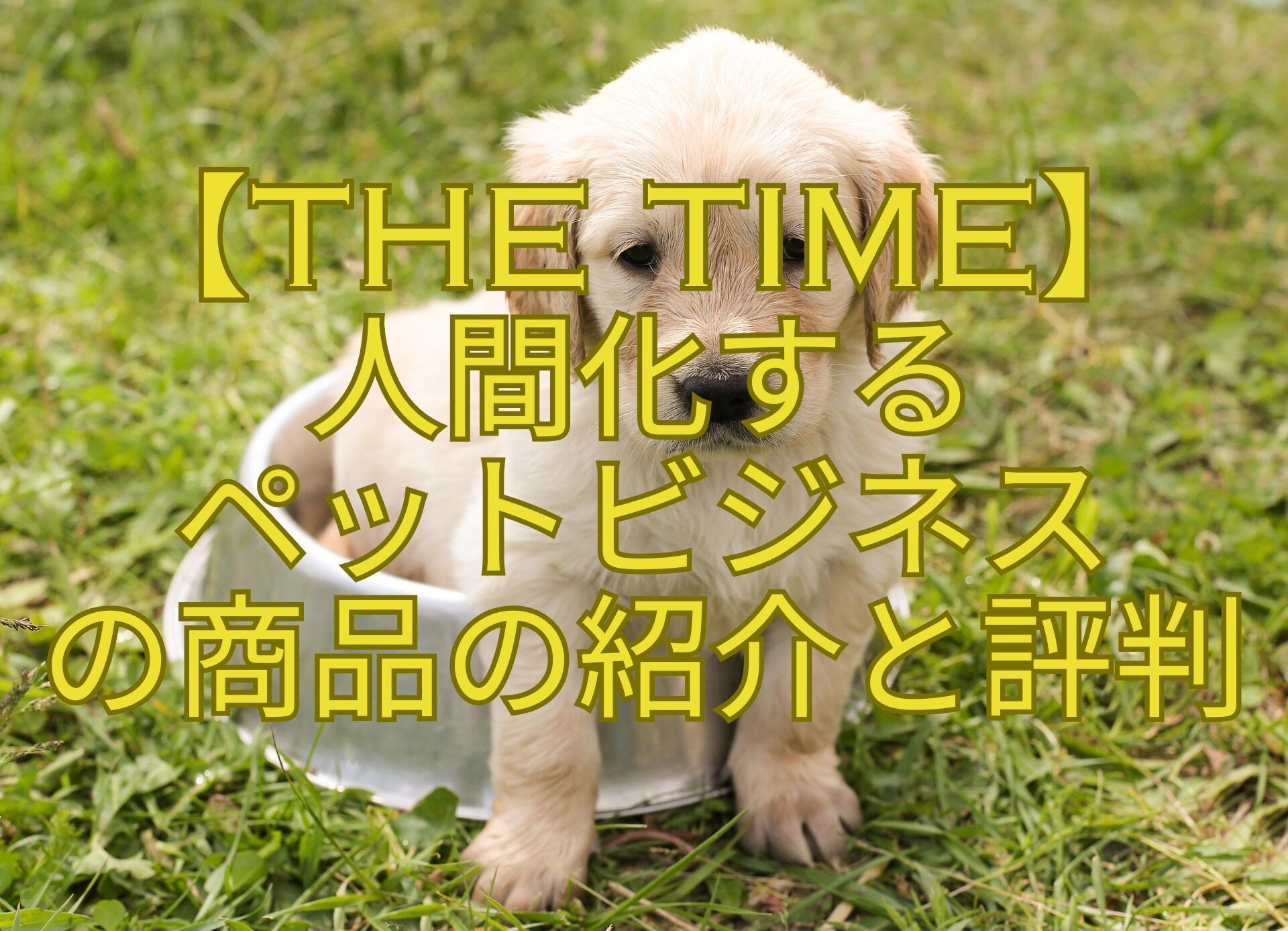 【THE-TIME】-人間化する-ペットビジネス-の商品の紹介と評判