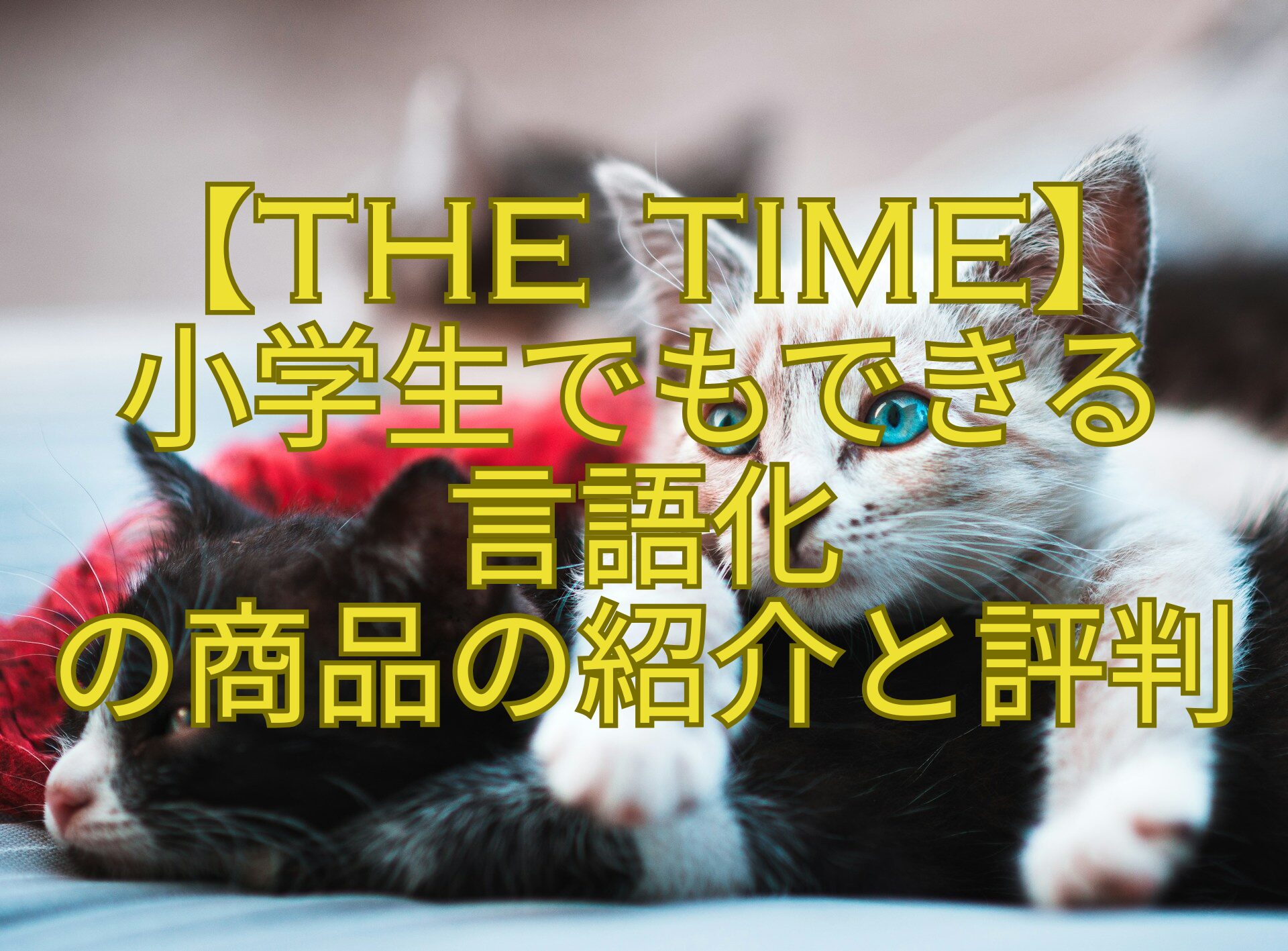 【THE-TIME】-小学生でもできる-言語化-の商品の紹介と評判