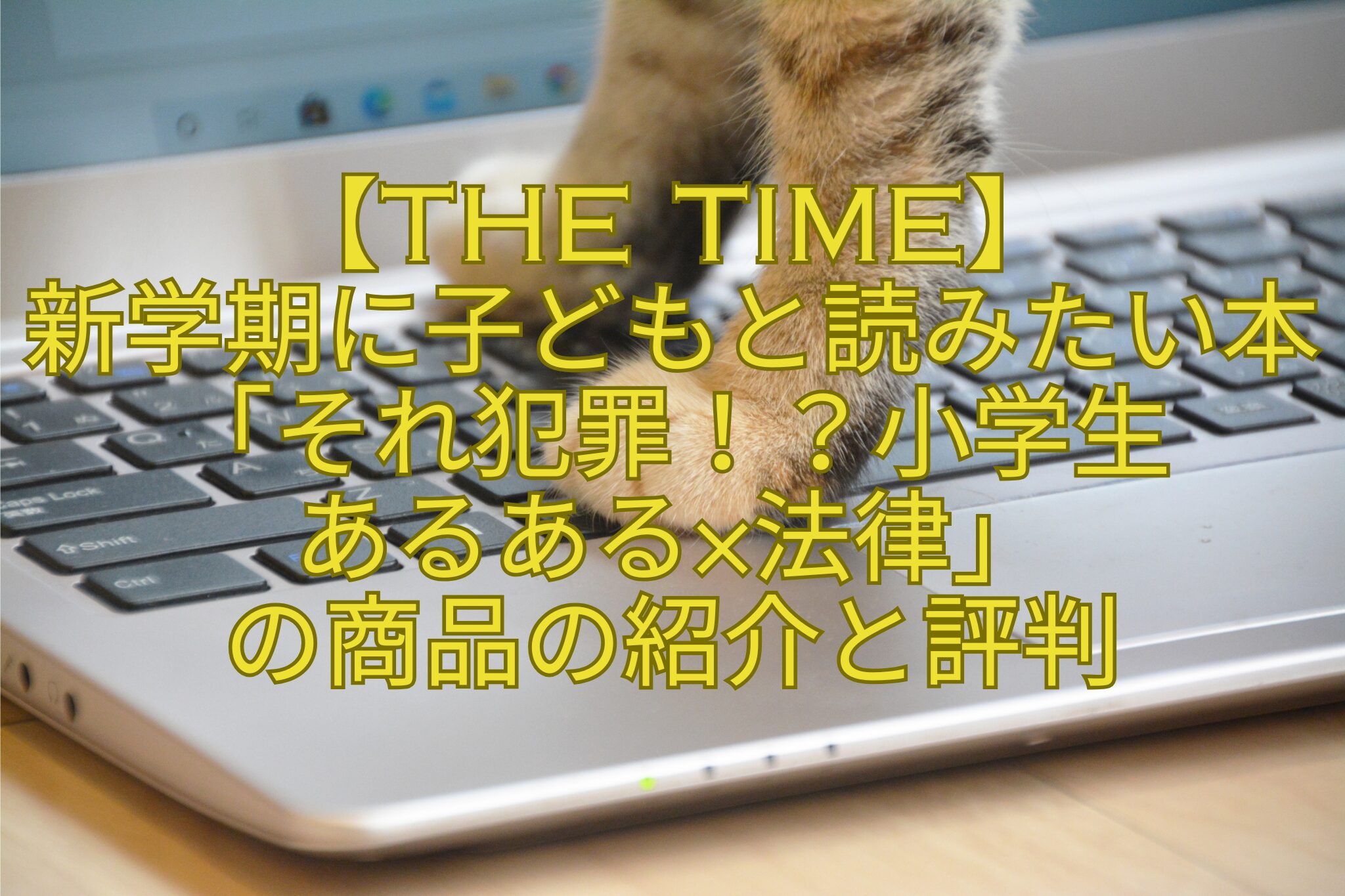 【THE-TIME】-新学期に子どもと読みたい本「それ犯罪！？小学生-あるある×法律」-の商品の紹介と評判