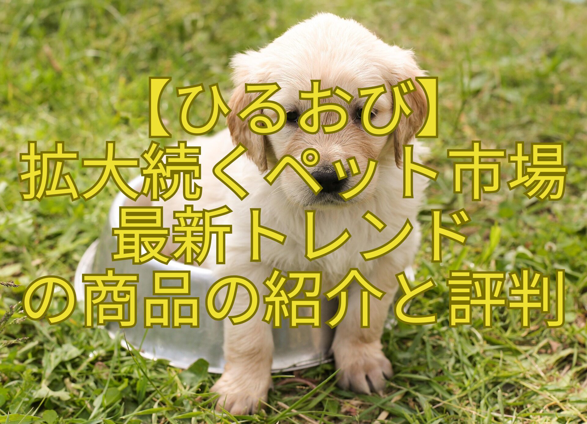 【ひるおび】-拡大続くペット市場-最新トレンド-の商品の紹介と評判