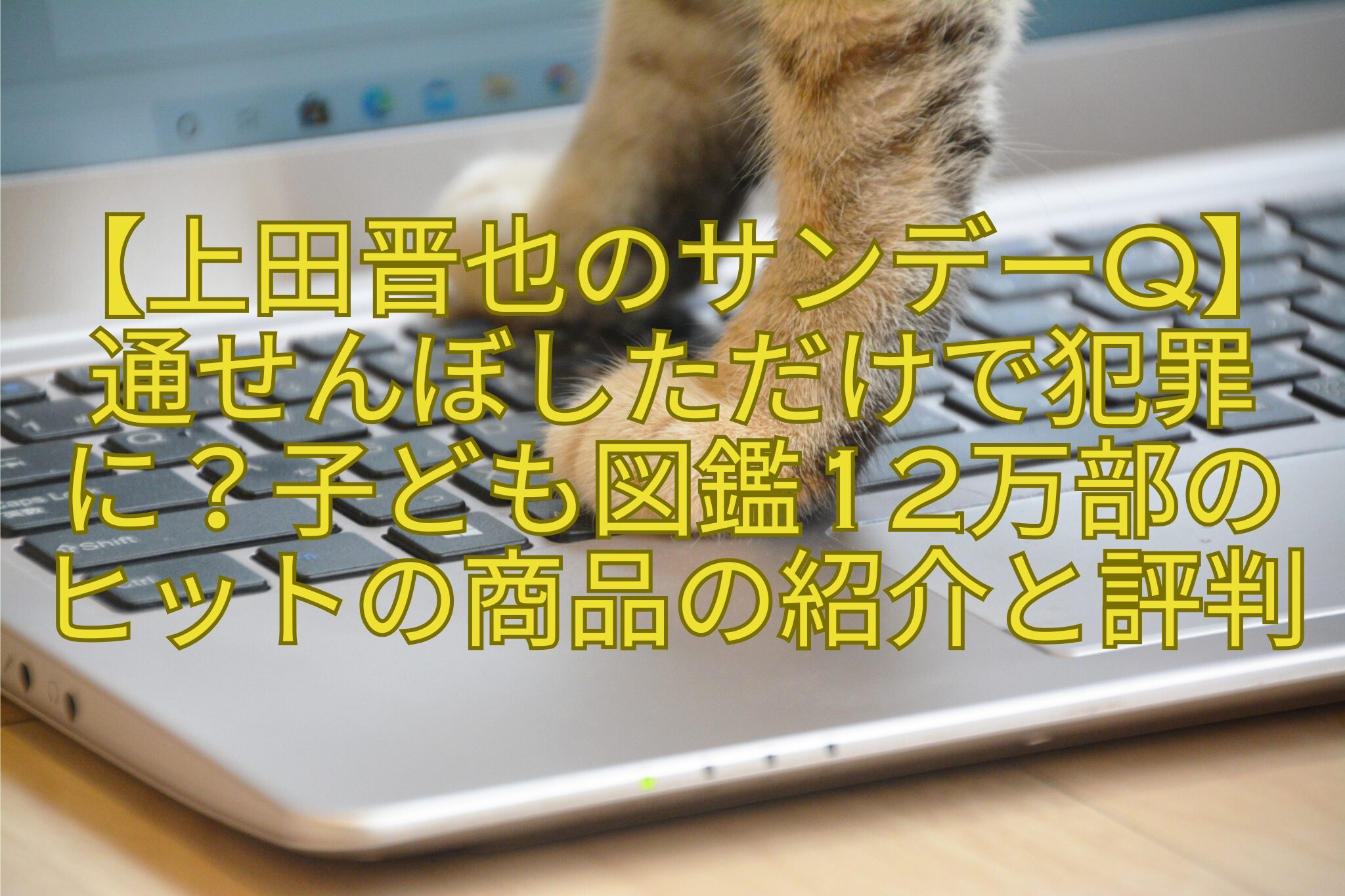 【上田晋也のサンデーQ】通せんぼしただけで犯罪に？子ども図鑑12万部のヒットの商品の紹介と評判