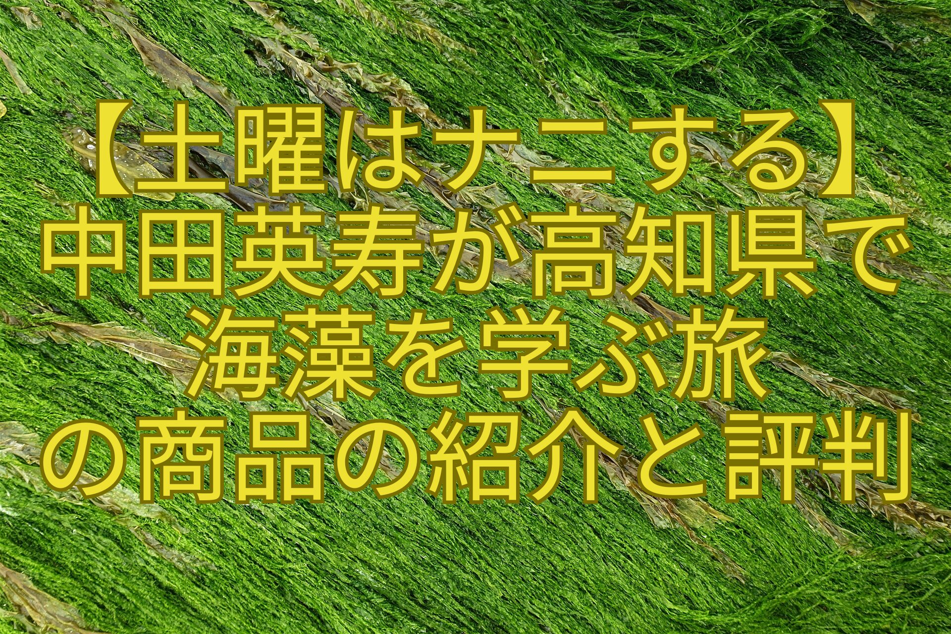【土曜はナニする】-中田英寿が高知県で-海藻を学ぶ旅-の商品の紹介と評判
