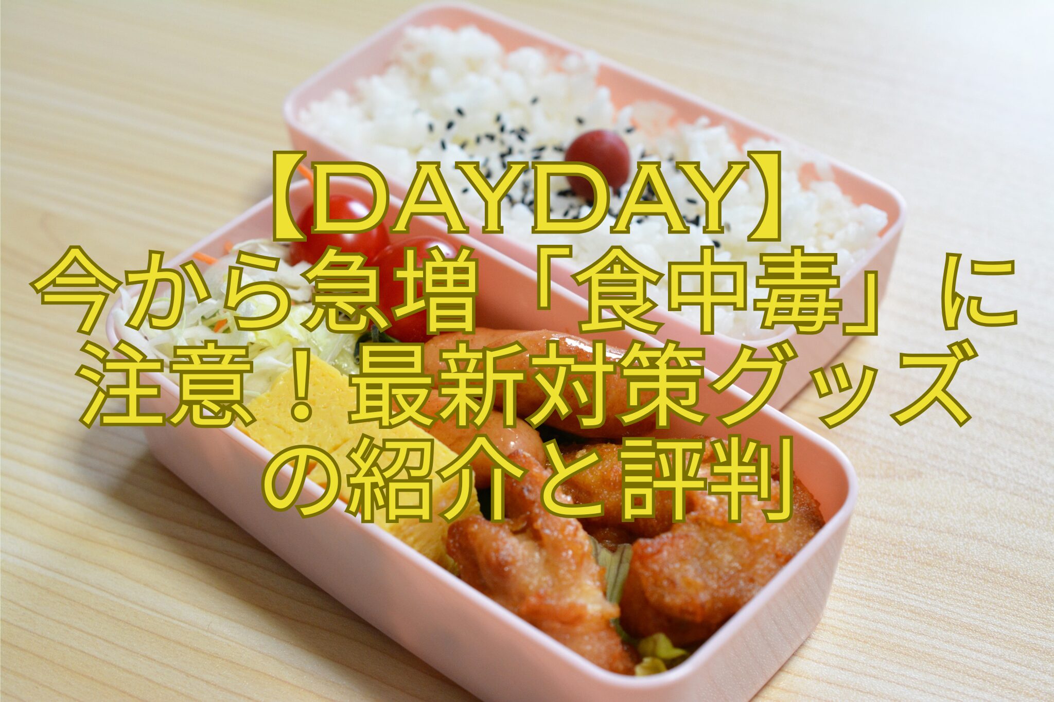 【DayDay】-今から急増「食中毒」に注意！最新対策グッズ-の紹介と評判