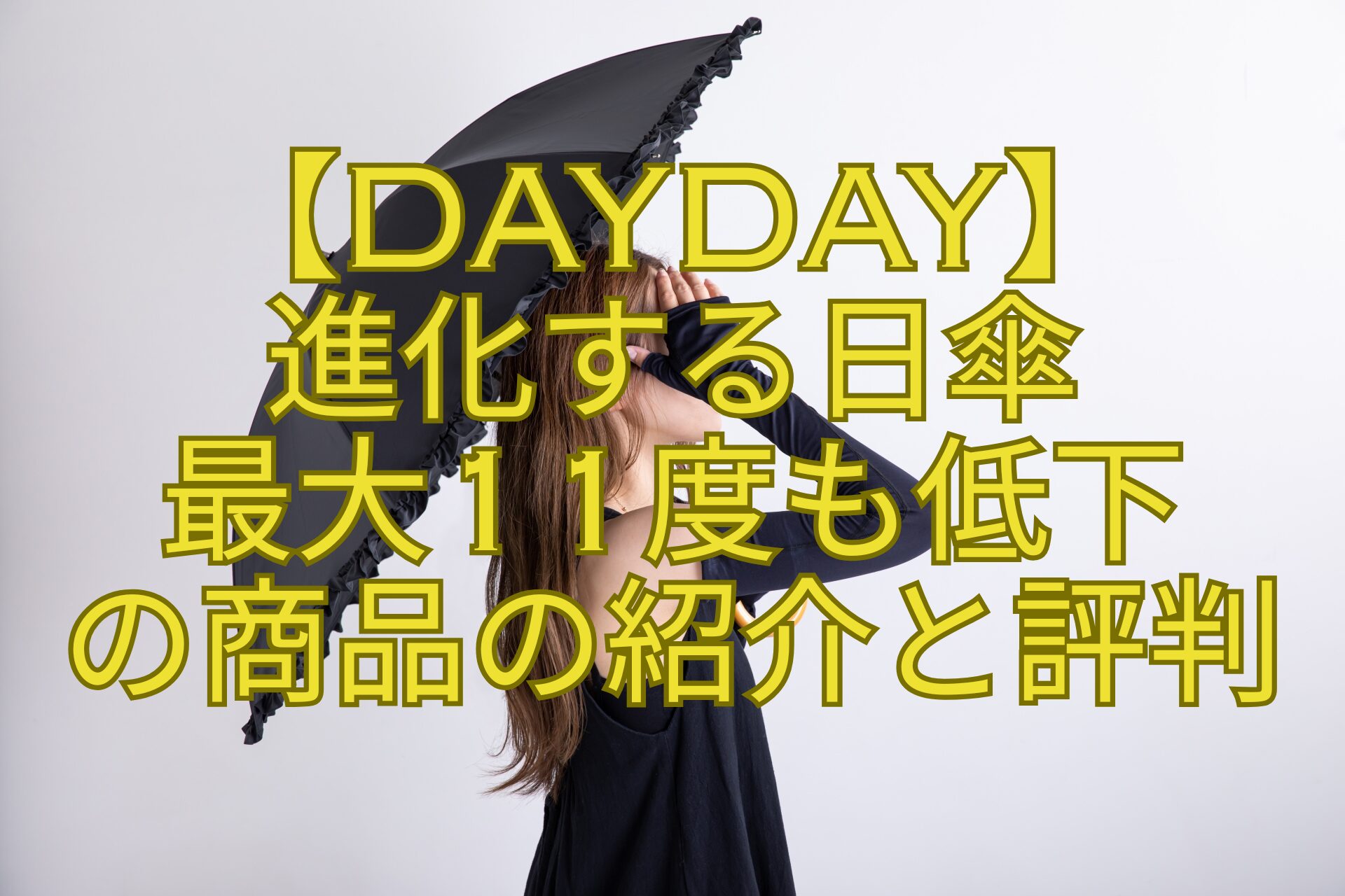 【DayDay】-進化する日傘-最大11度も低下-の商品の紹介と評判