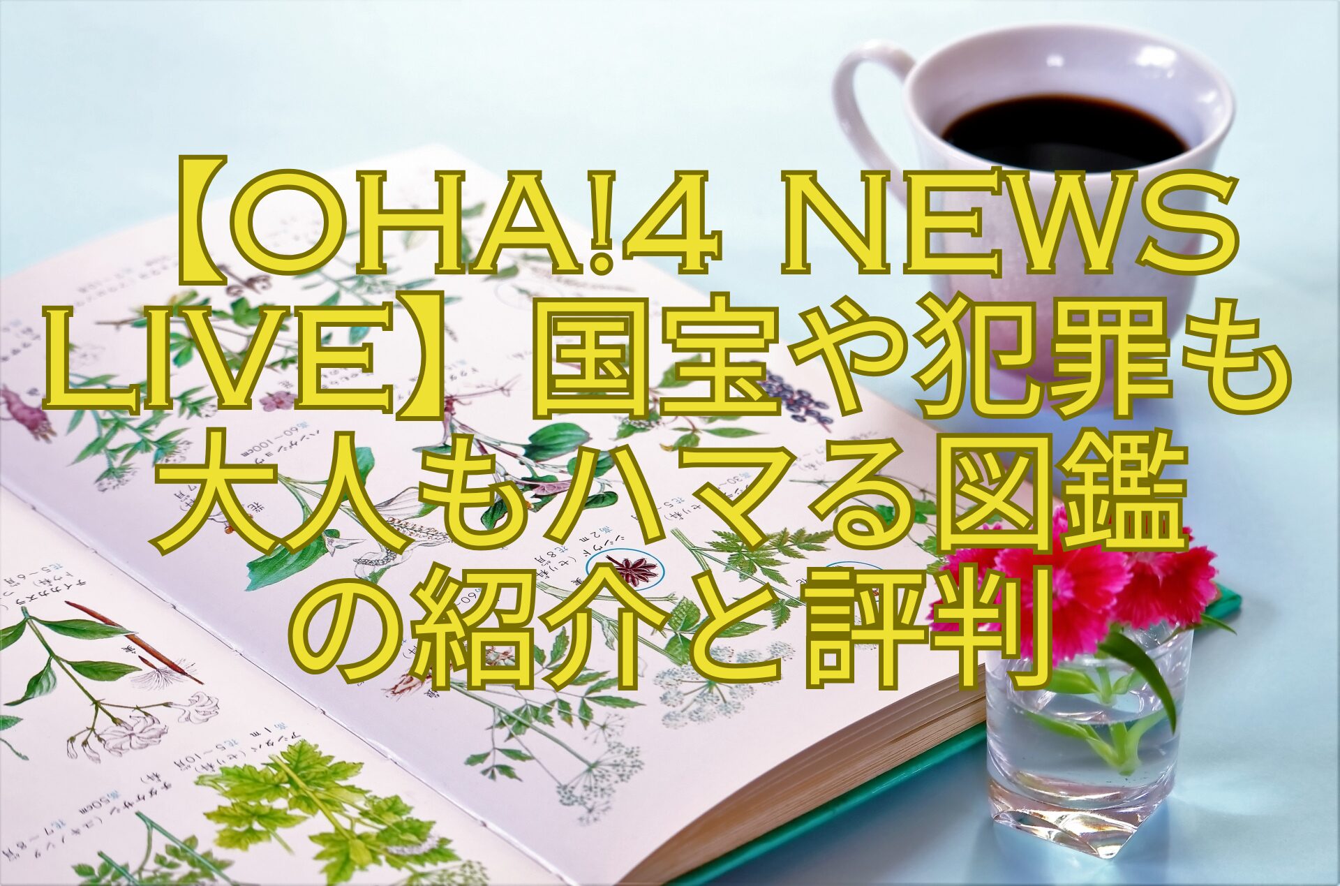 【Oha4-NEWS-LIVE】国宝や犯罪も-大人もハマる図鑑-の紹介と評判