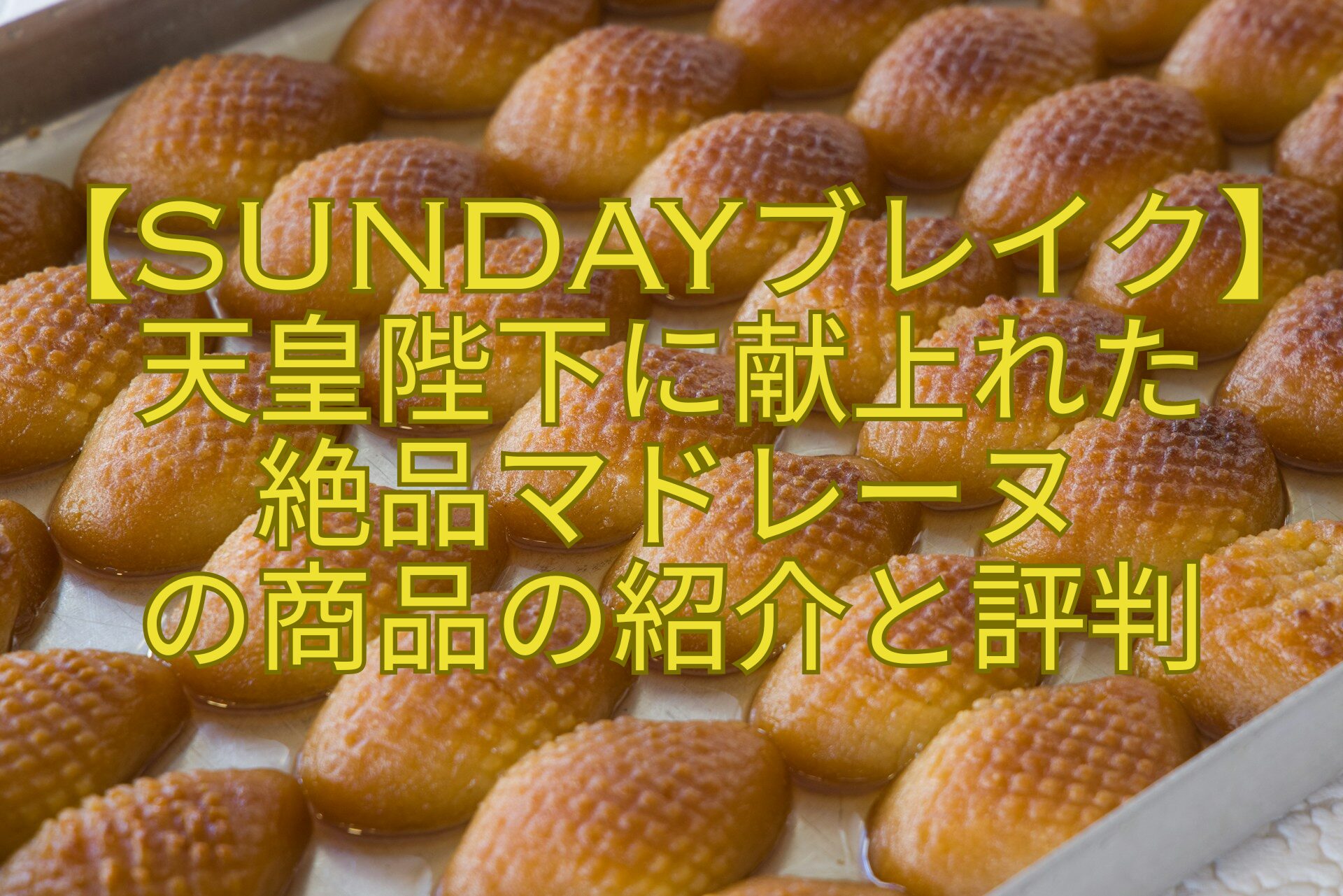 【SUNDAYブレイク】天皇陛下に献上れた-絶品マドレーヌ-の商品の紹介と評判