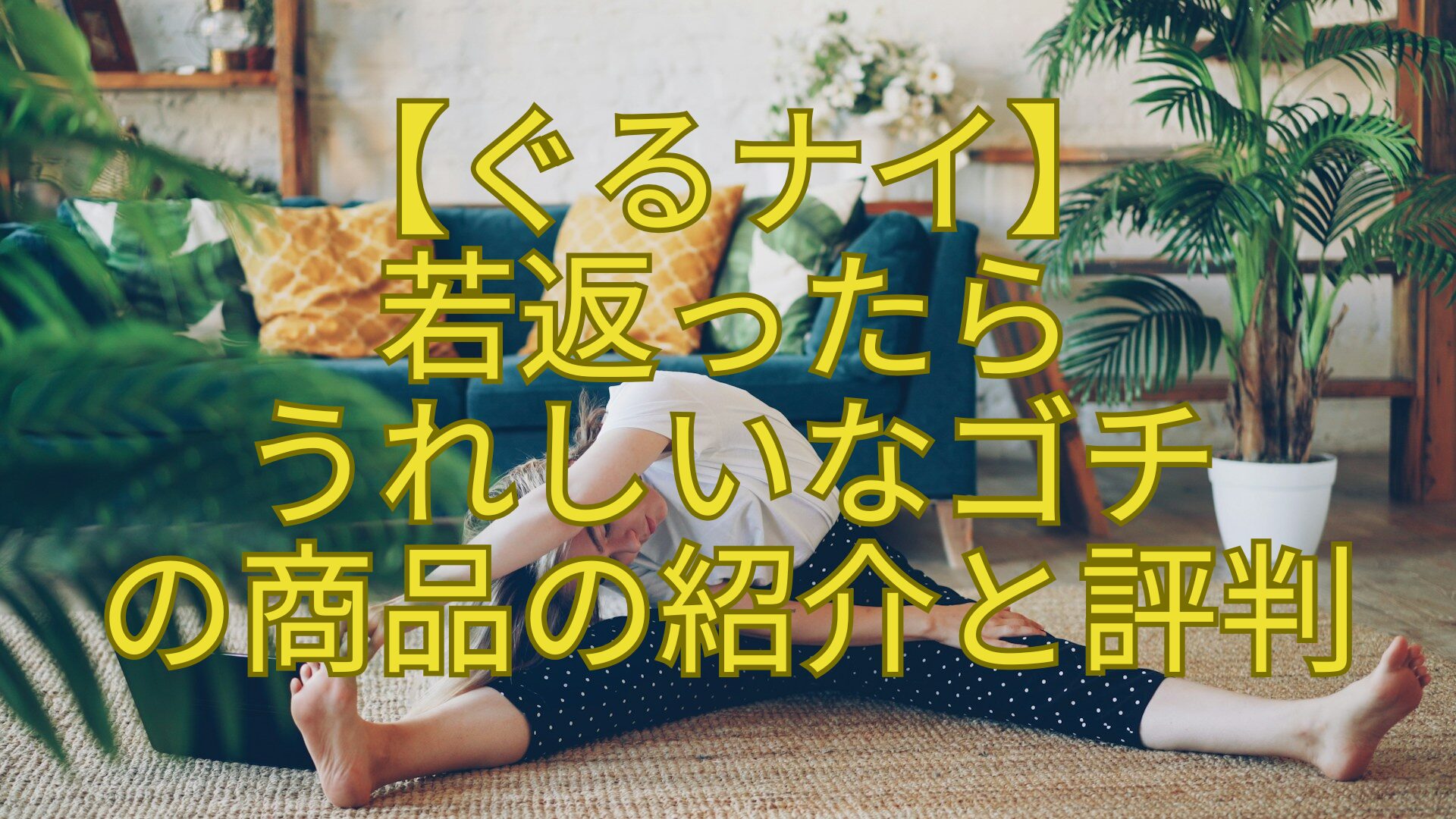 【ぐるナイ】-若返ったら-うれしいなゴチ-の商品の紹介と評判