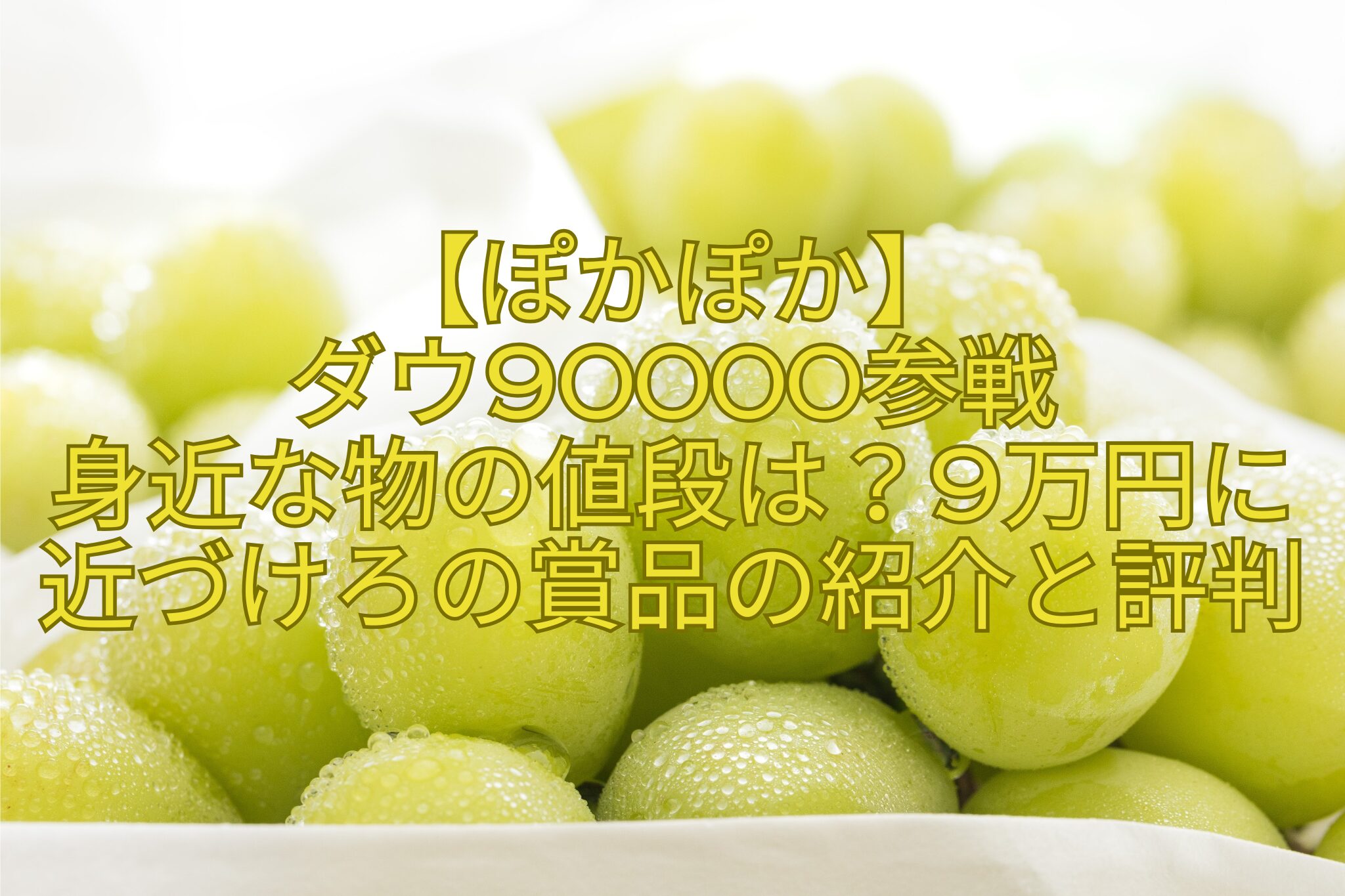 【ぽかぽか】-ダウ90000参戦-身近な物の値段は？9万円に-近づけろの賞品の紹介と評判