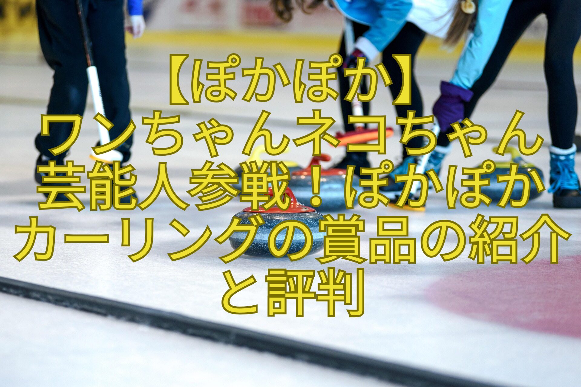 【ぽかぽか】-ワンちゃんネコちゃん-芸能人参戦！ぽかぽか-カーリングの賞品の紹介と評判