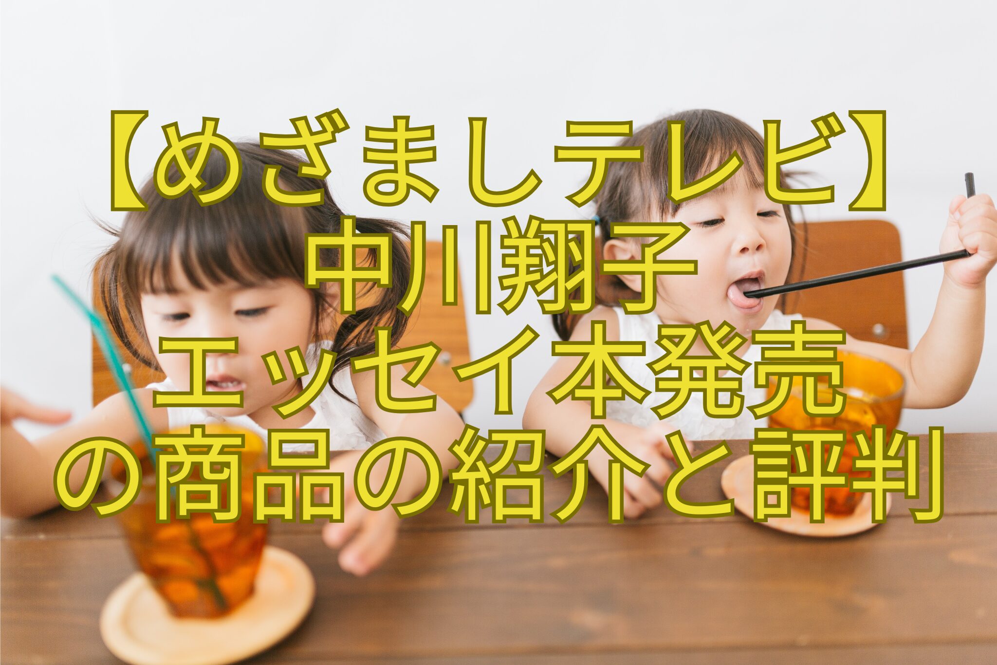 【めざましテレビ】-中川翔子-エッセイ本発売-の商品の紹介と評判