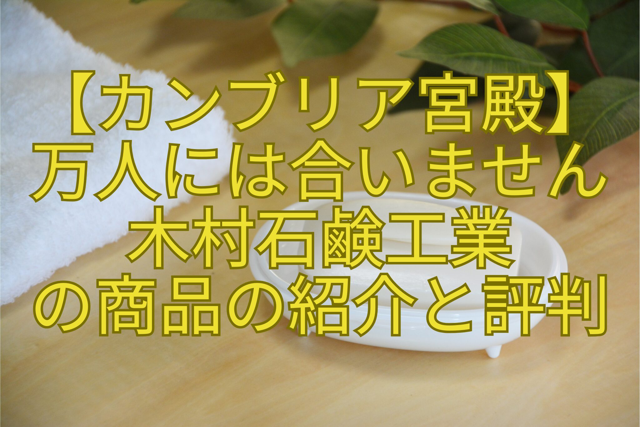 【カンブリア宮殿】-万人には合いません-木村石鹸工業-の商品の紹介と評判