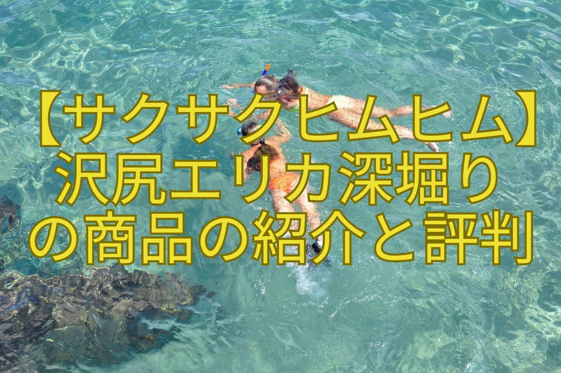 【サクサクヒムヒム】沢尻エリカ深堀り-の商品の紹介と評判