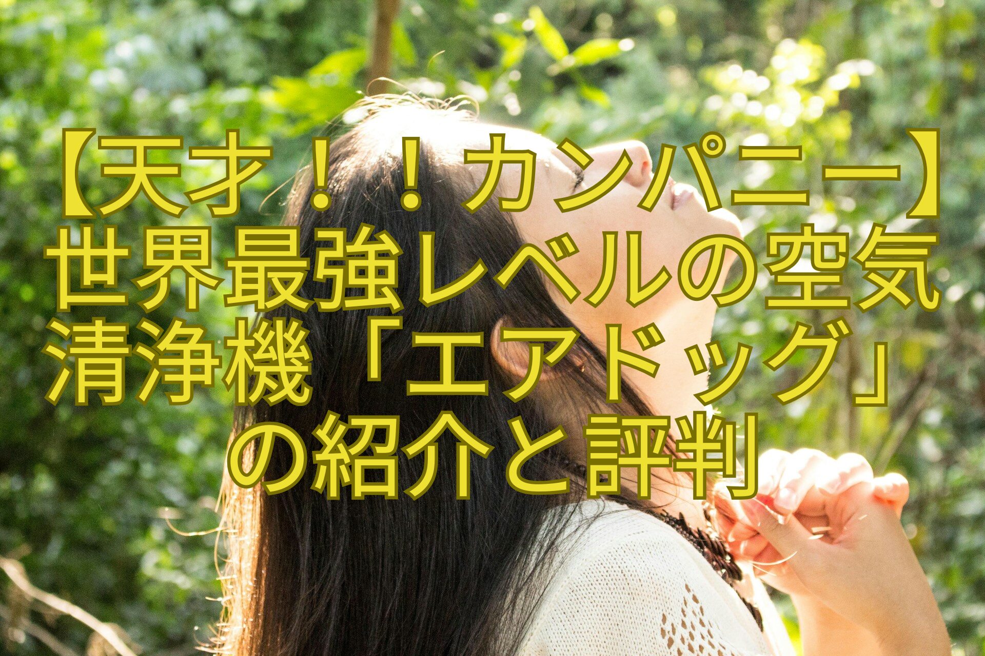 【天才！！カンパニー】世界最強レベルの空気清浄機「エアドッグ」の紹介と評判